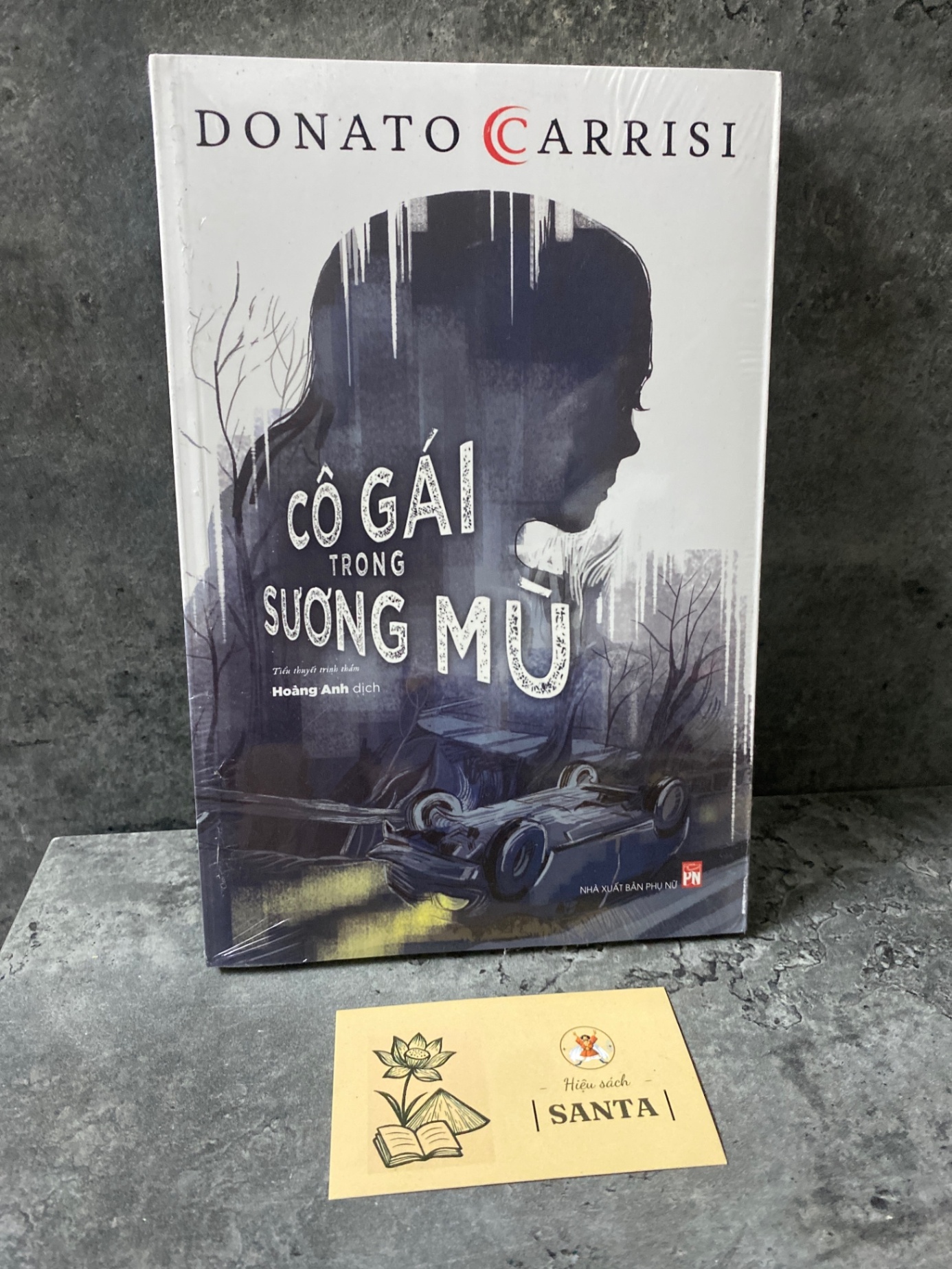 Cô gái trong sương mù (tiểu thuyết trinh thám) - Donato Carrisi Sách chuyên khảo, khảo cứu STB0302