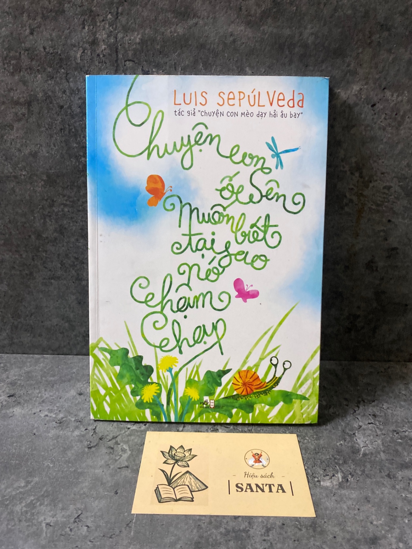 Chuyện con ốc sên muốn biết tại sao nó chậm chạp- Luis Sepu’lveda- Mới 95% Sách văn học STB0302