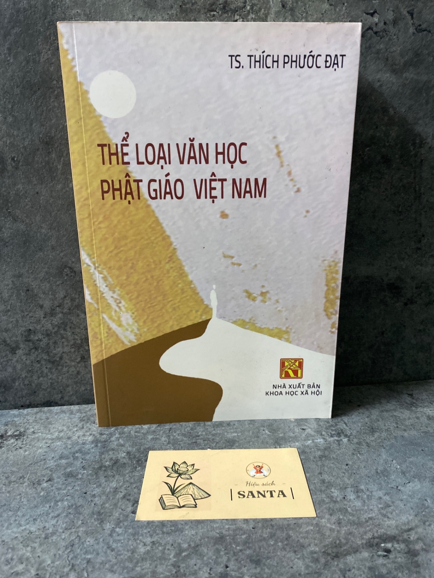 Thể loại văn học phật giáo Việt Nam- Ts Thích Phước Đạt (sách mới) Sách văn học STB0302