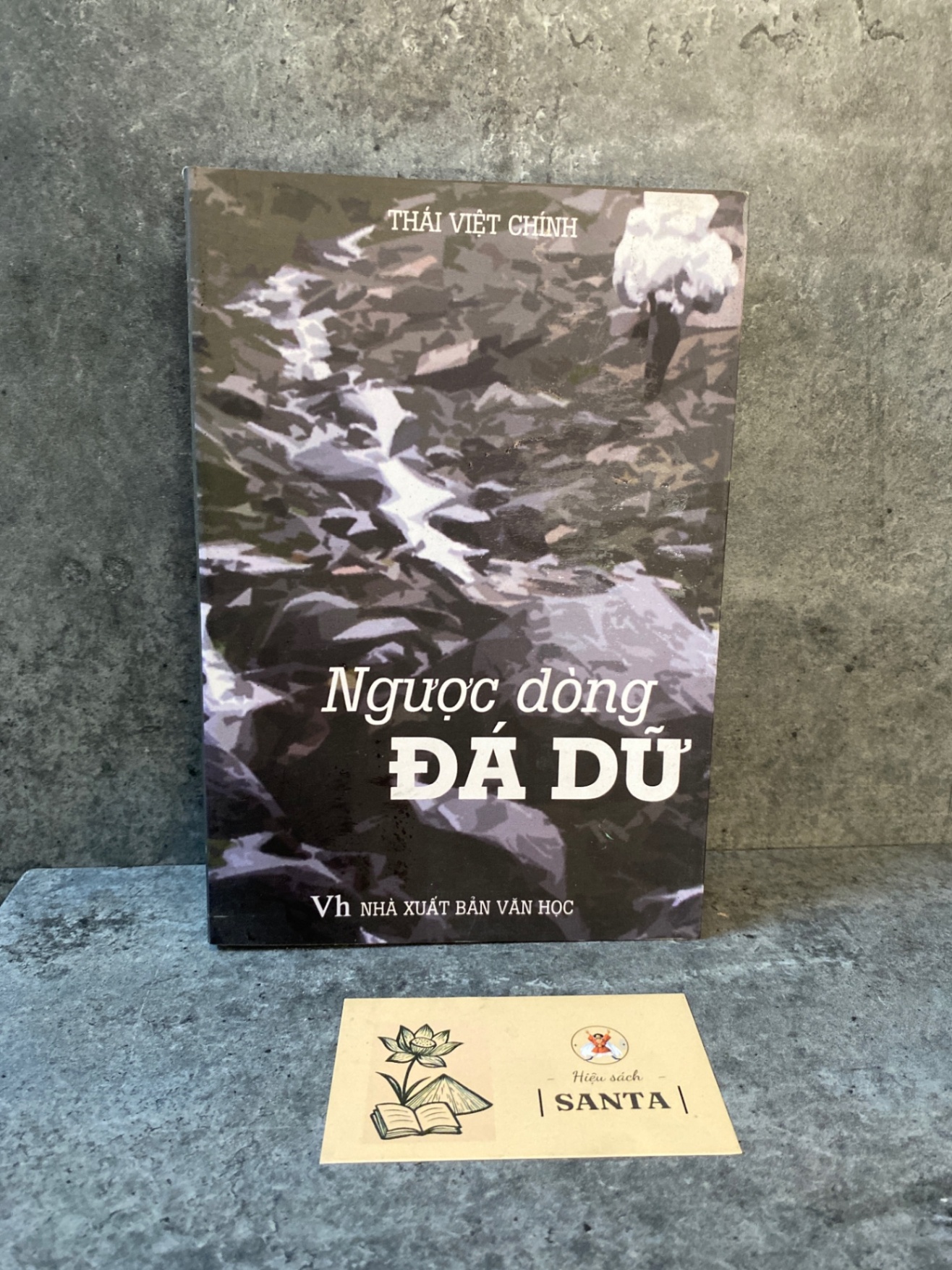 Ngược dòng đá dữ- Thái Việt Chính (sách lưu kho mới 90%) Sách văn học STB0302