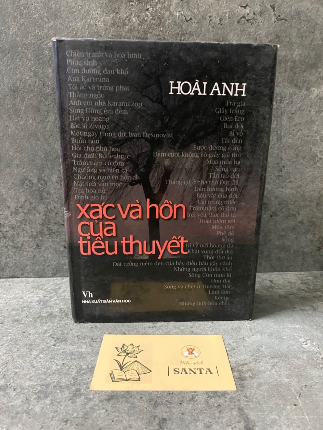 Xác và hồn của tiểu thuyết (bìa cứng)- Hoài Anh- sách lưu kho mới 85-90% Sách văn học STB0302