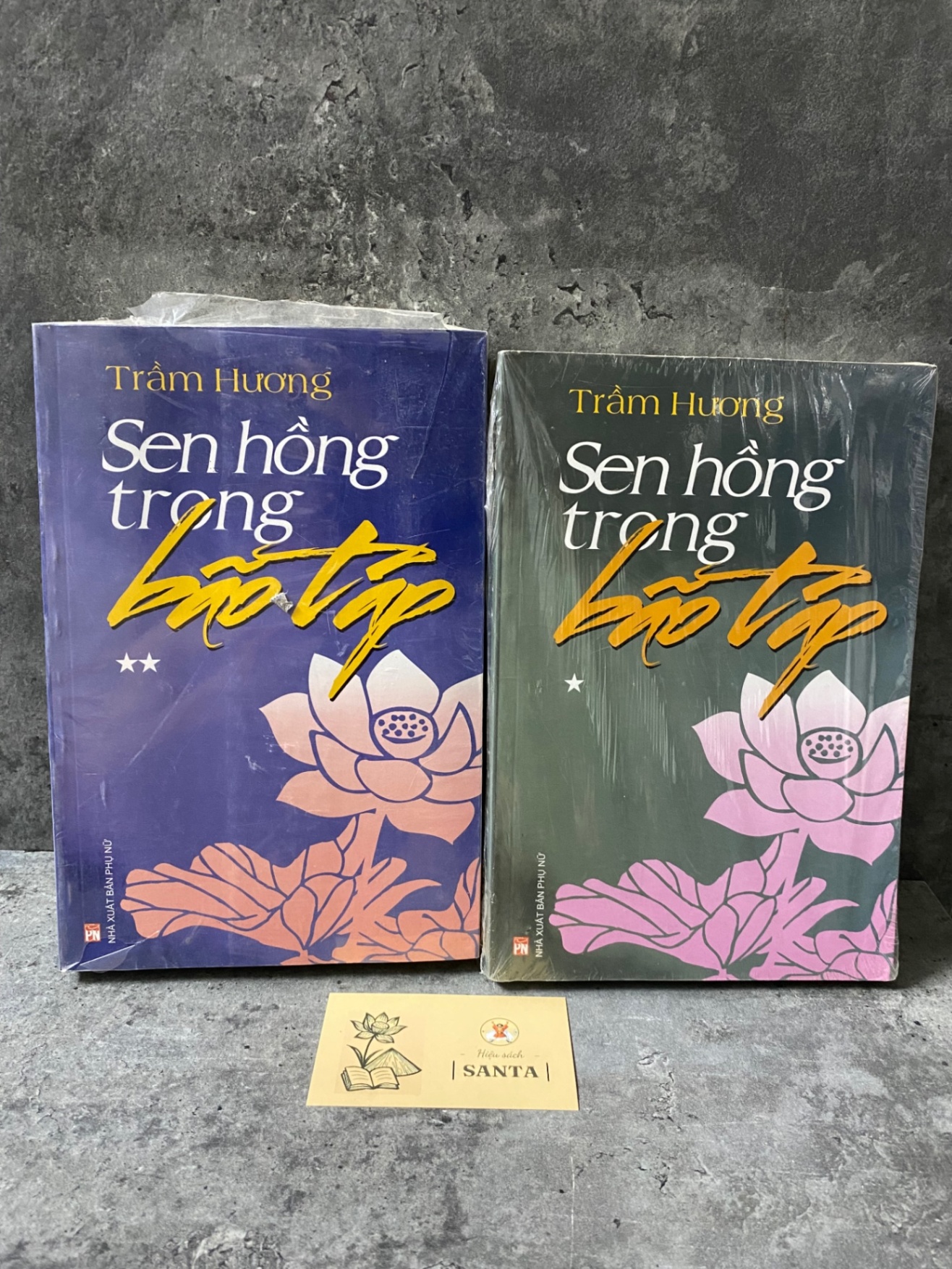 Sen hồng trong bão tâp (bộ 2 tập)- Trầm Hương- sách lưu kho chưa qua sd,độ mới 95% Sách văn học STB0302