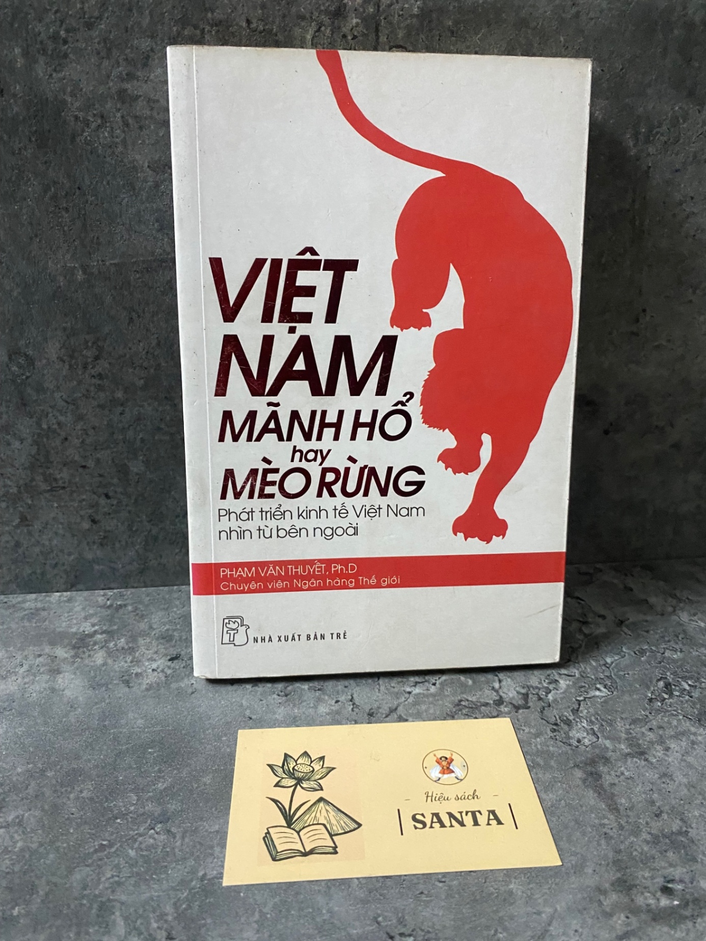 Việt Nam mãnh hổ hay mèo rừng- Phạm Văn Thuyết (sách lưu kho chưa qua sd, giấy xốp có ố) Kinh doanh - Marketing STB0302