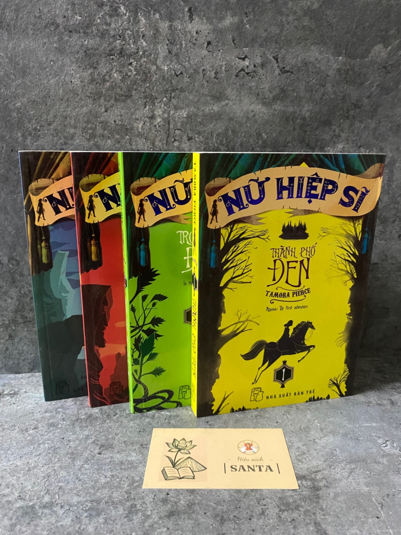 Nữ hiệp sĩ (trọn bộ 4 tập)- sách chưa sử dụng, độ mới 90% Sách văn học STB0302