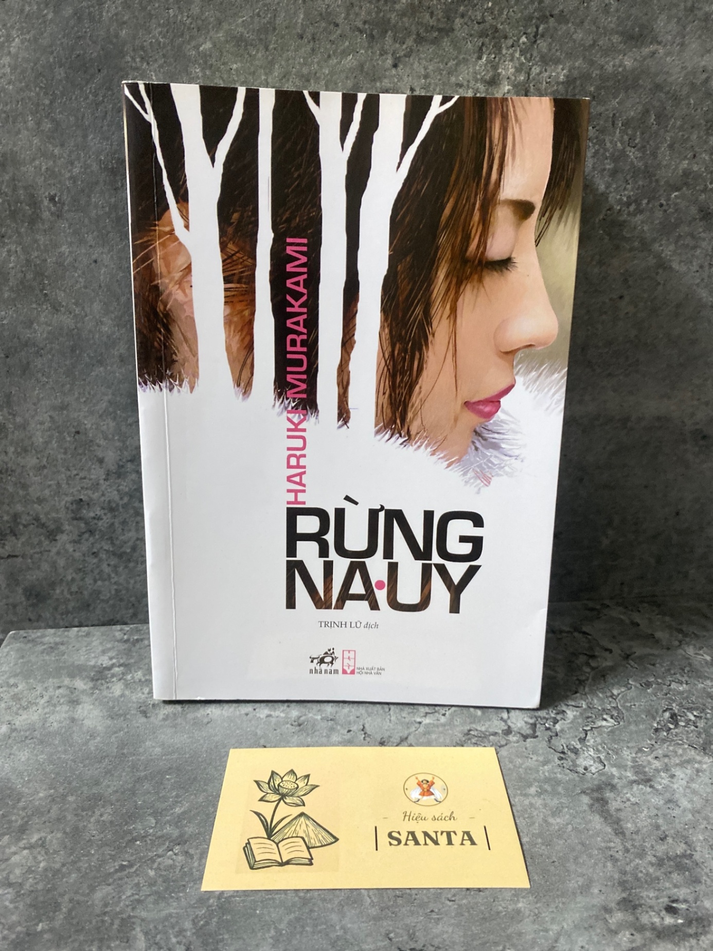 Rừng Na Uy- Haruki Murakami Sách văn học STB0302
