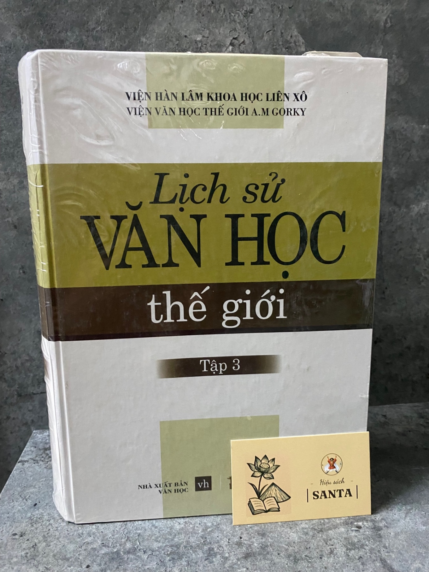 Lịch sử văn học thế giới tập 3 (bìa cứng) Sách văn học STB0302