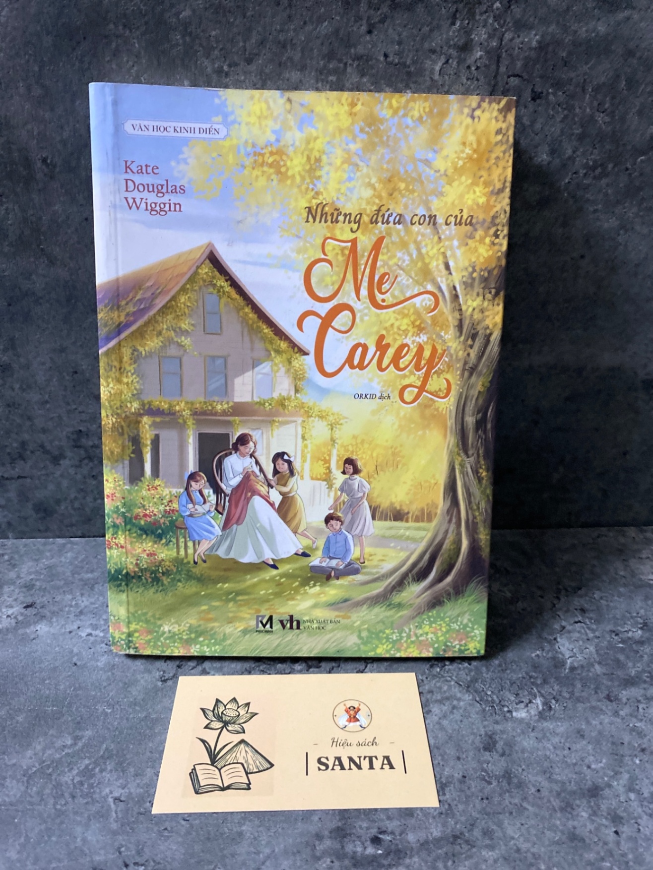 Những đứa con của mẹ Carey (văn học kinh điển)- sách mới 90% Sách văn học STB0302