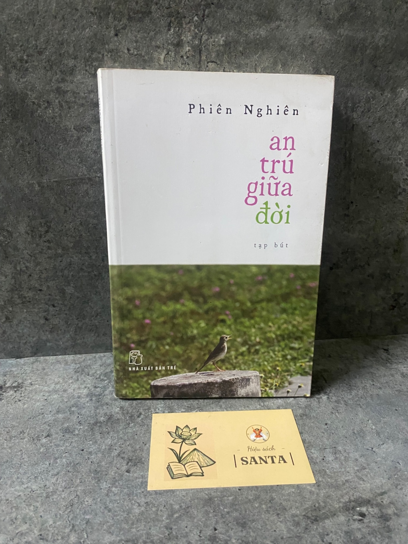 An trú giữa đời- Phiên Nghiên- sách mới 80% Sách văn học STB0302