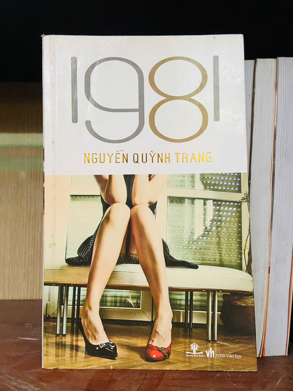 1981 - Nguyễn Quỳnh Trang Văn học Việt Nam VAVO2702