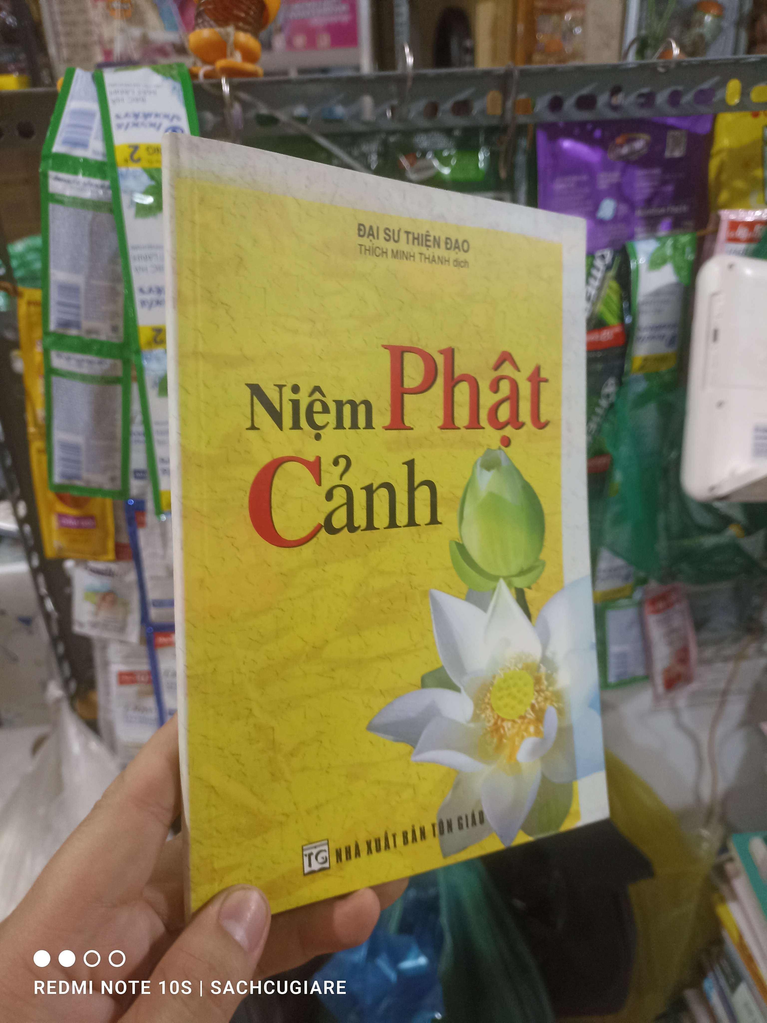 Niệm phật cảnh - Thiện Đạo 2005 mới 80% bạc màu bìa Phật giáo HCM2702 (NSX)
