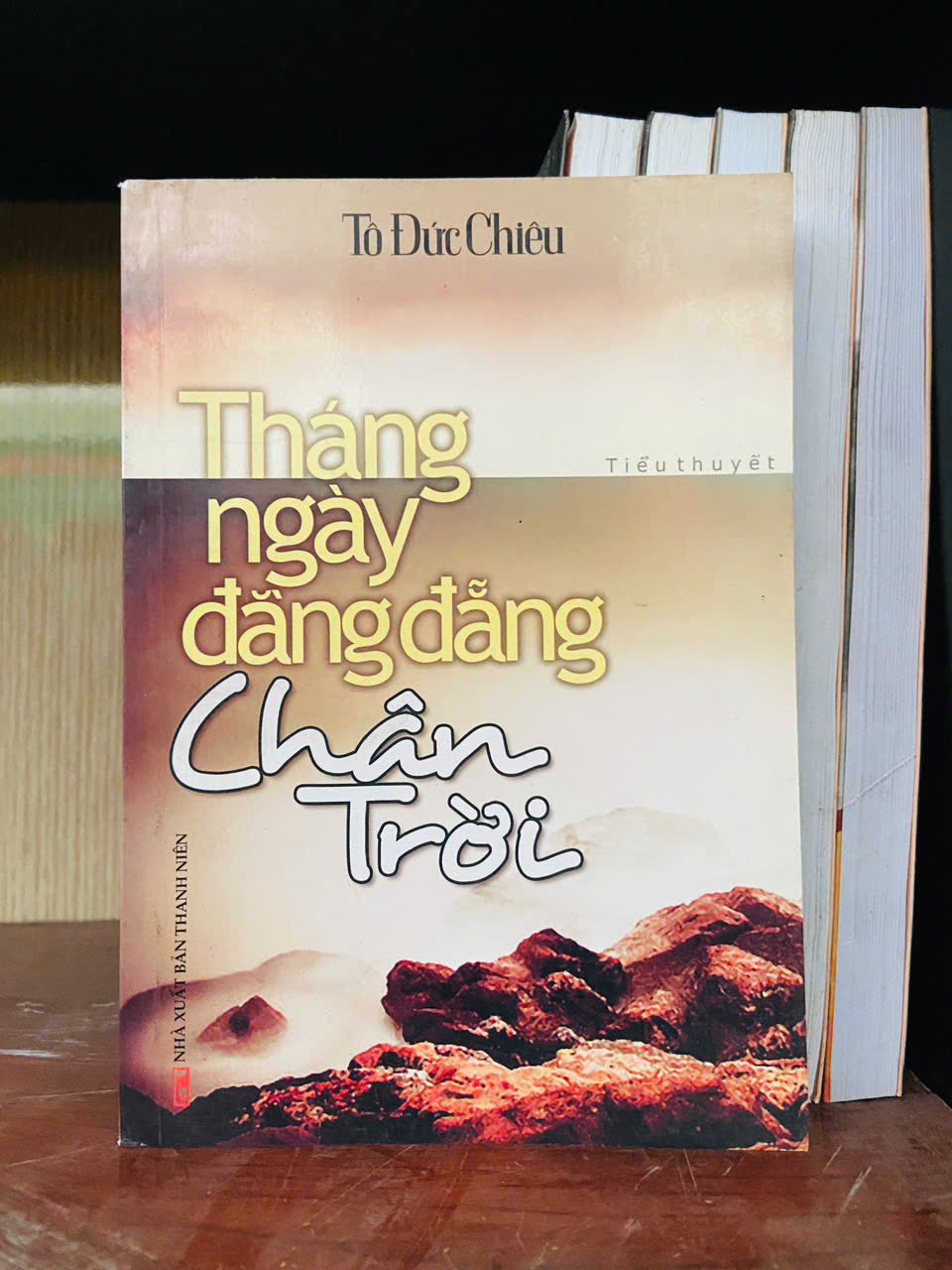 Tháng ngày đằng đẵng chân trời - Tô Đức Chiêu Văn học Việt Nam VAVO2702