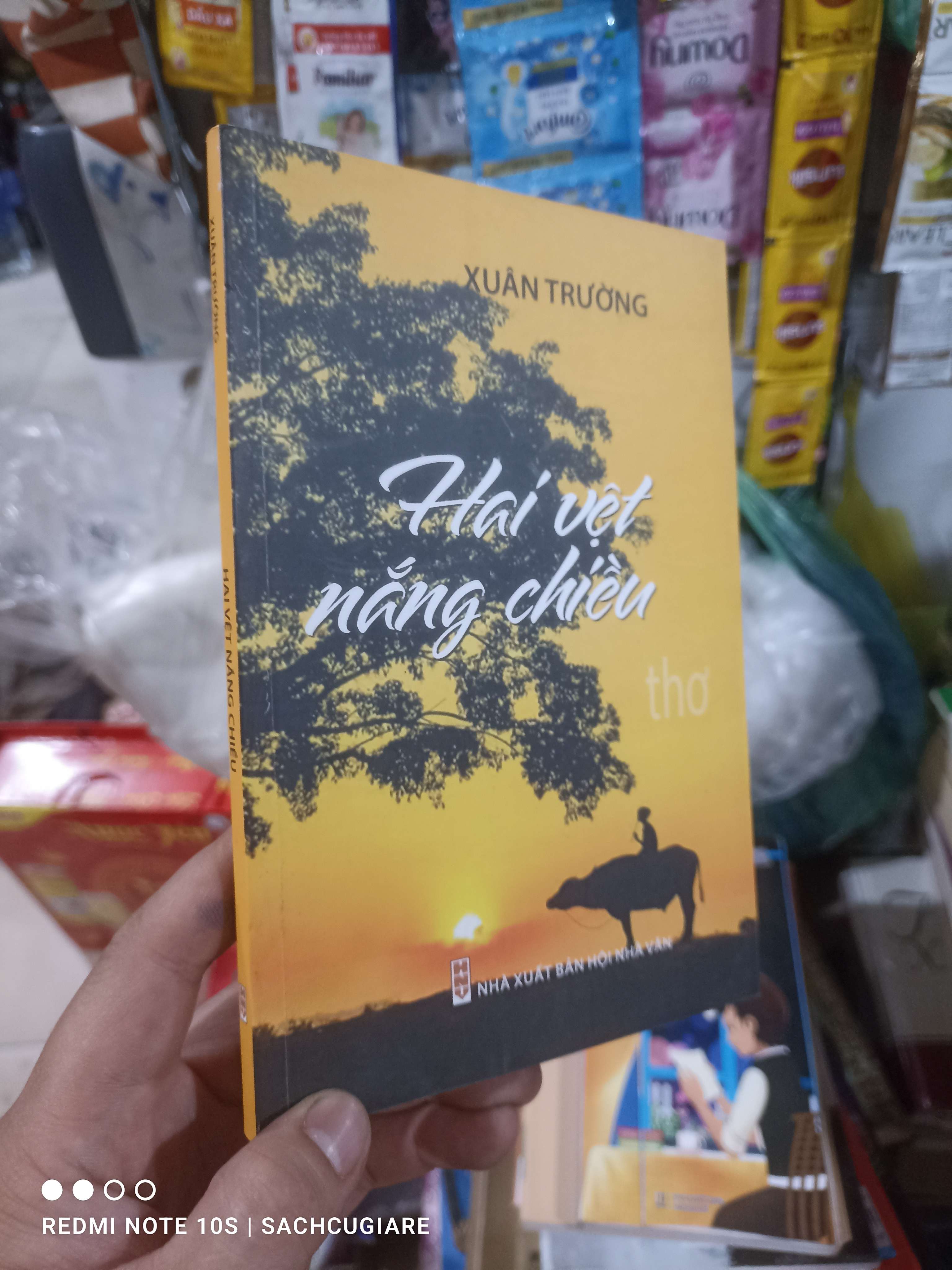 Hai vệt nắng chiều - Xuân Trường 2018 mới 90% Văn học Việt Nam HCM2702 (NSX)
