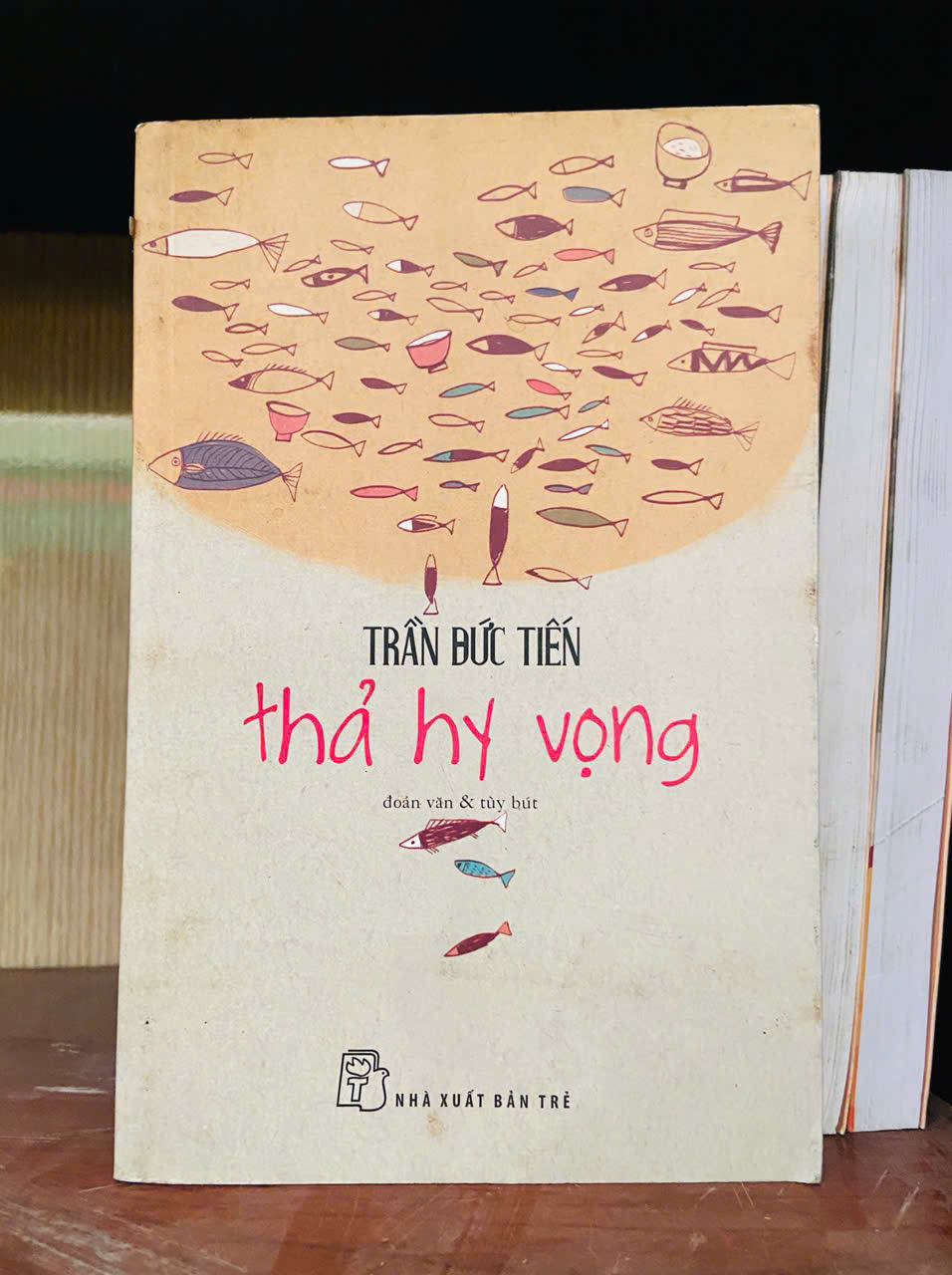 Thả hy vọng - Trần Đức Tiến Văn học Việt Nam VAVO2702