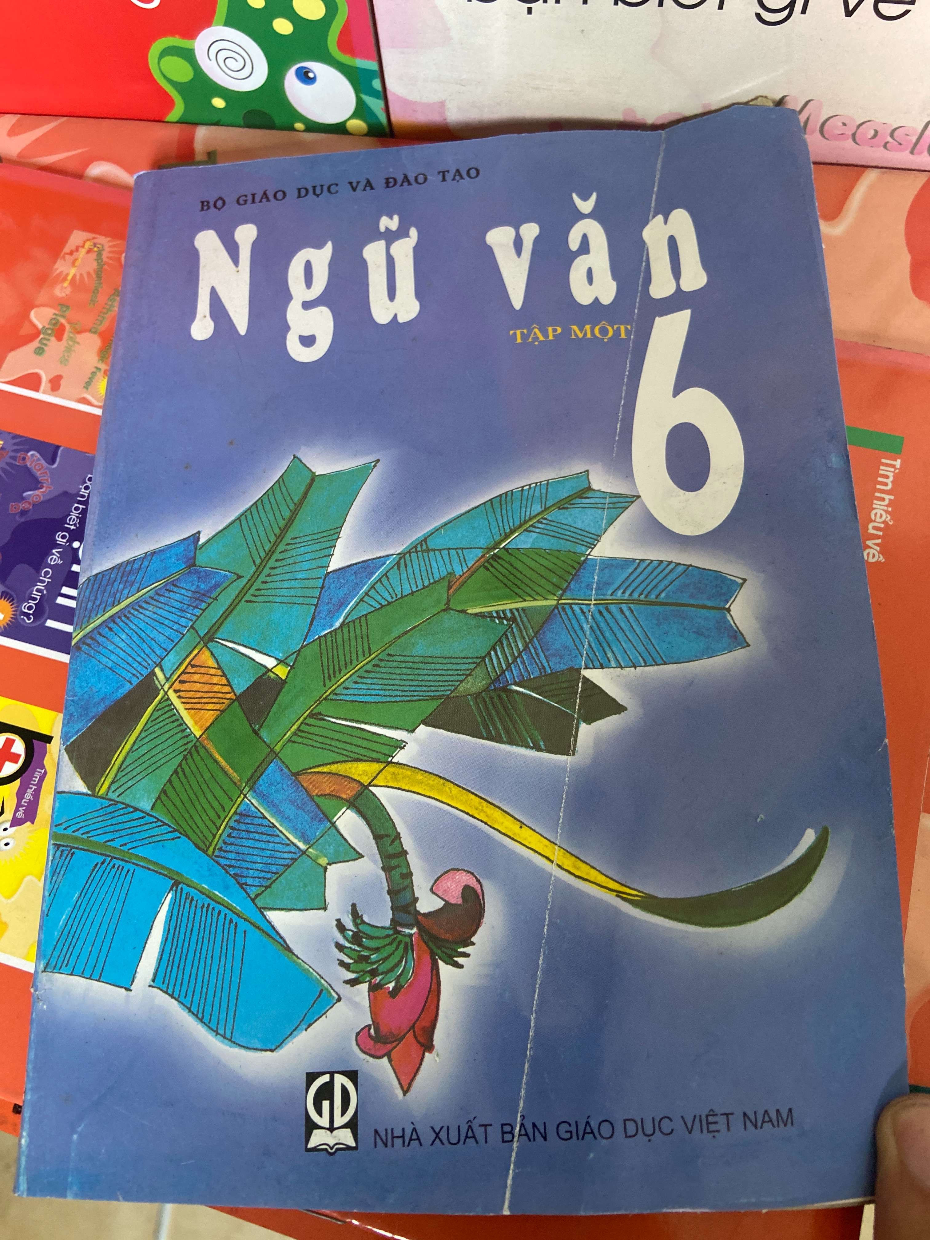 Ngữ Văn 6 (Tập 1) 2019 Tham khảo - luyện thi VAVO-AK1T1