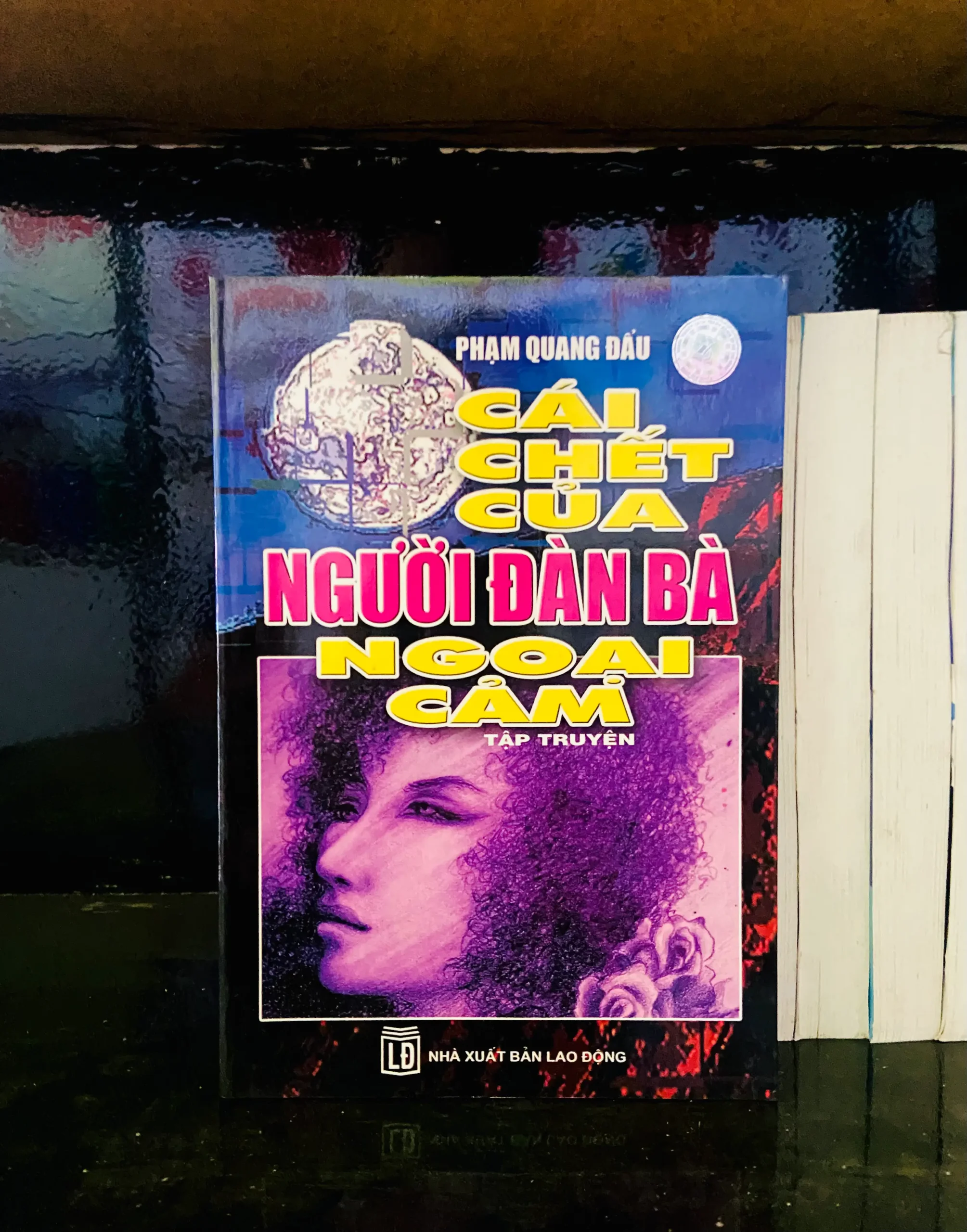 Cái chết của người đàn bà Ngoại cảm - Phạm Quang Đẩu - Văn học VAVOA1T2-10