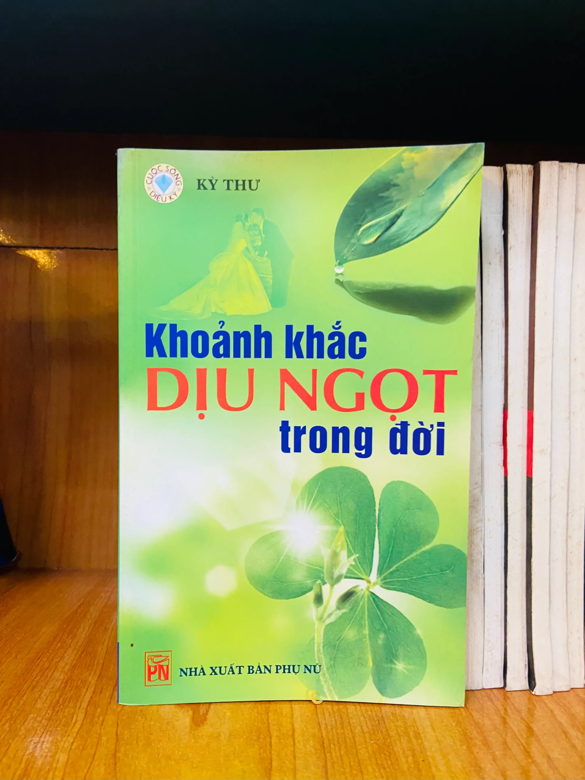 Khoảnh khắc DỊU NGỌT trong đời - Văn học VAVOY3S-14