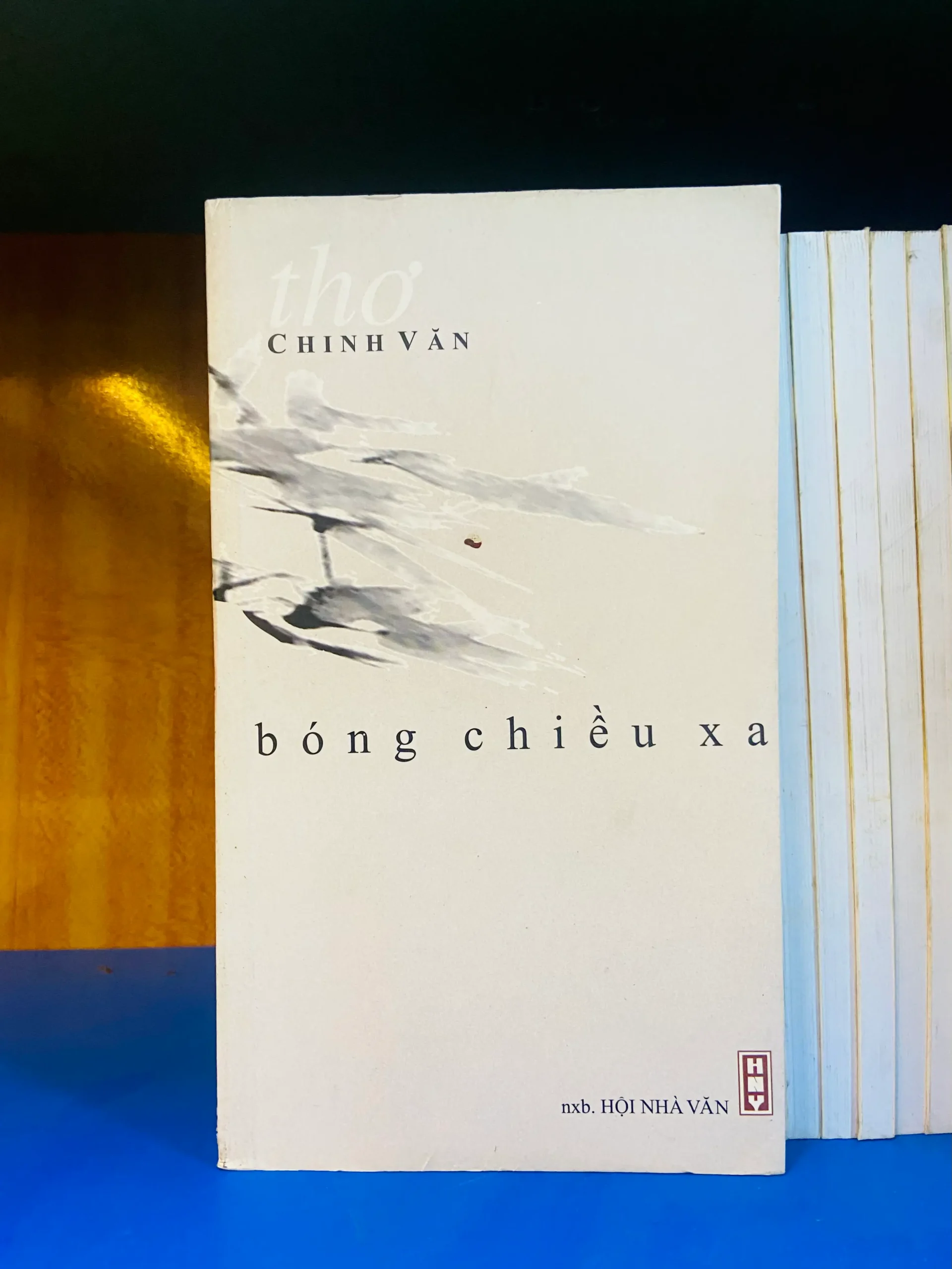 Bóng chiều xa - Văn học VAVOY6S-7