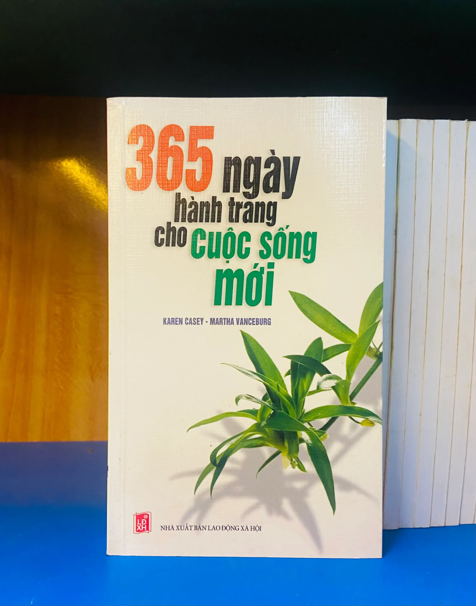 365 ngày hành trang cho Cuộc sống mới - Phát triển bản thân VAVOY4S-15