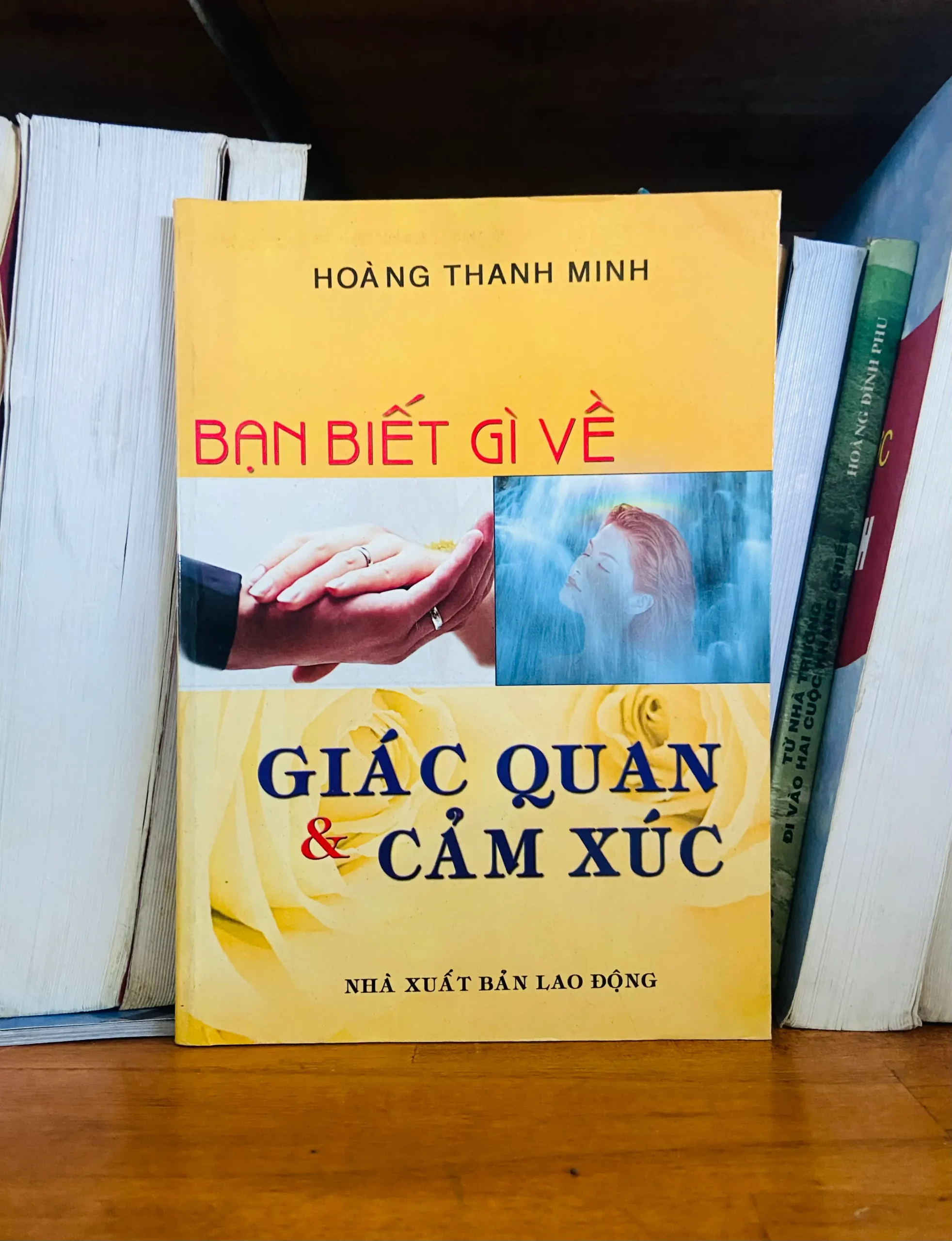 Giác quan & Cảm xúc - Hoàng Thanh Minh - Tâm lý VAVOB1T2-74
