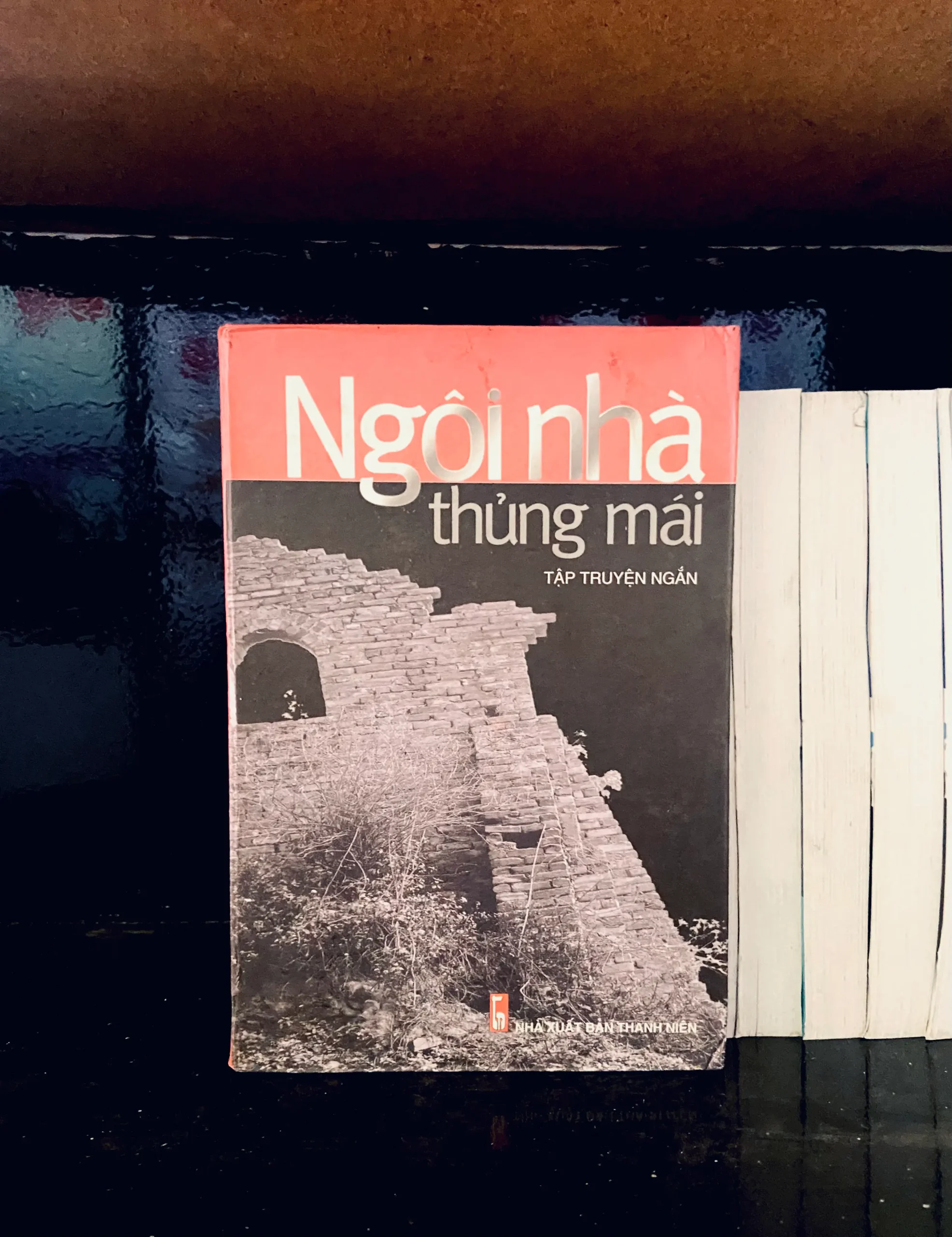 Ngôi nhà thủng mái - Văn học VAVOA1T2-8