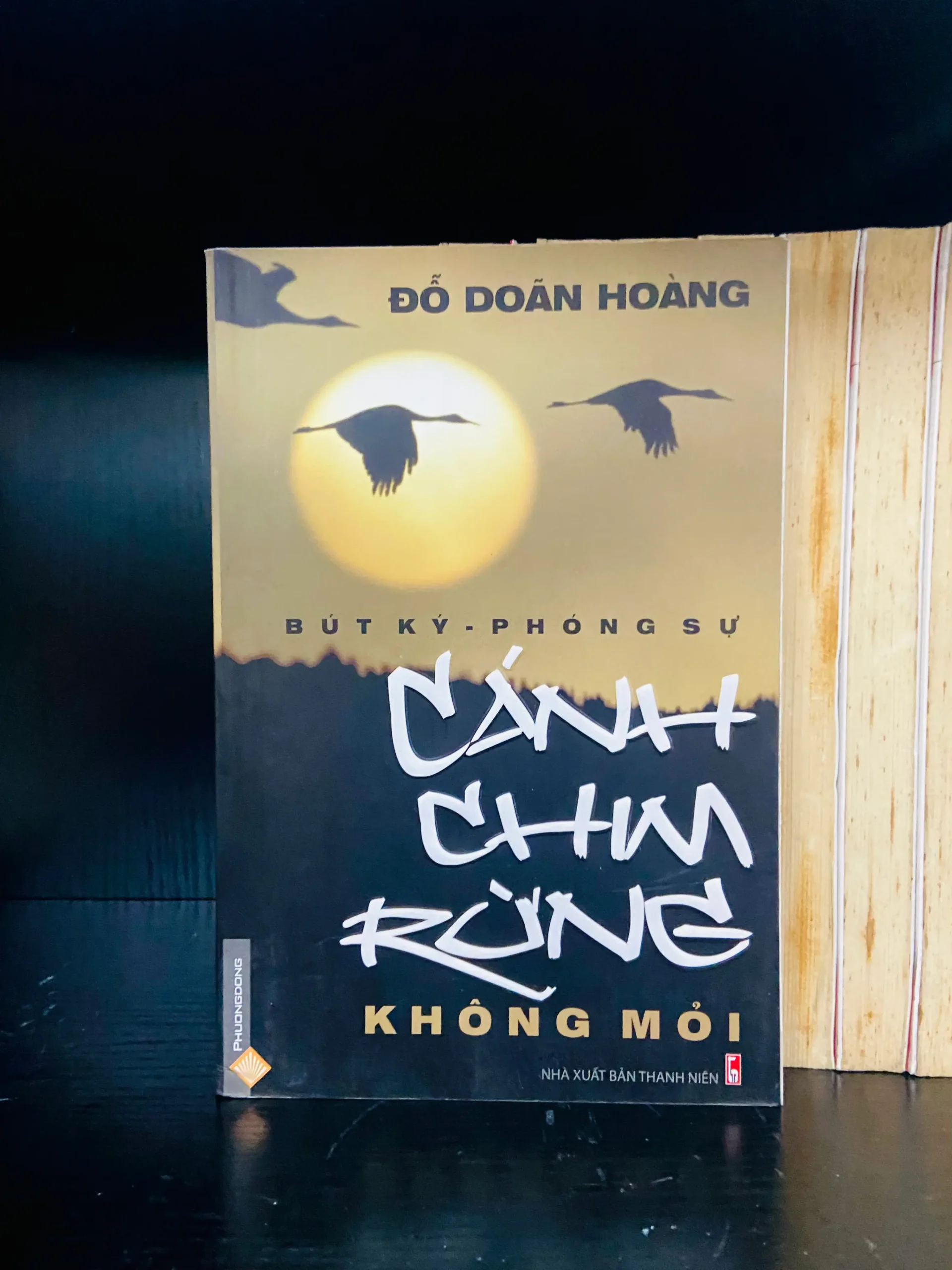 Cánh chim rừng - Đỗ Doãn Hoàng - Văn học VAVOX1C3-4
