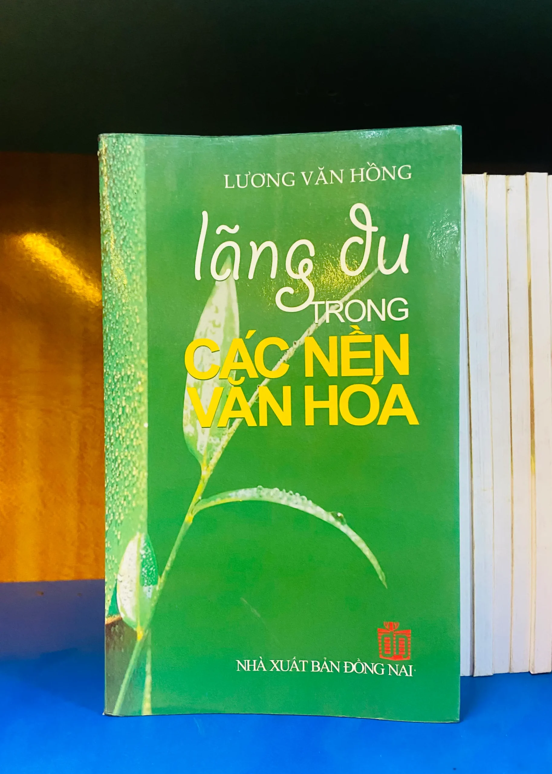 Lãng du trong các nền văn hóa - Lịch sử VAVOY7-5