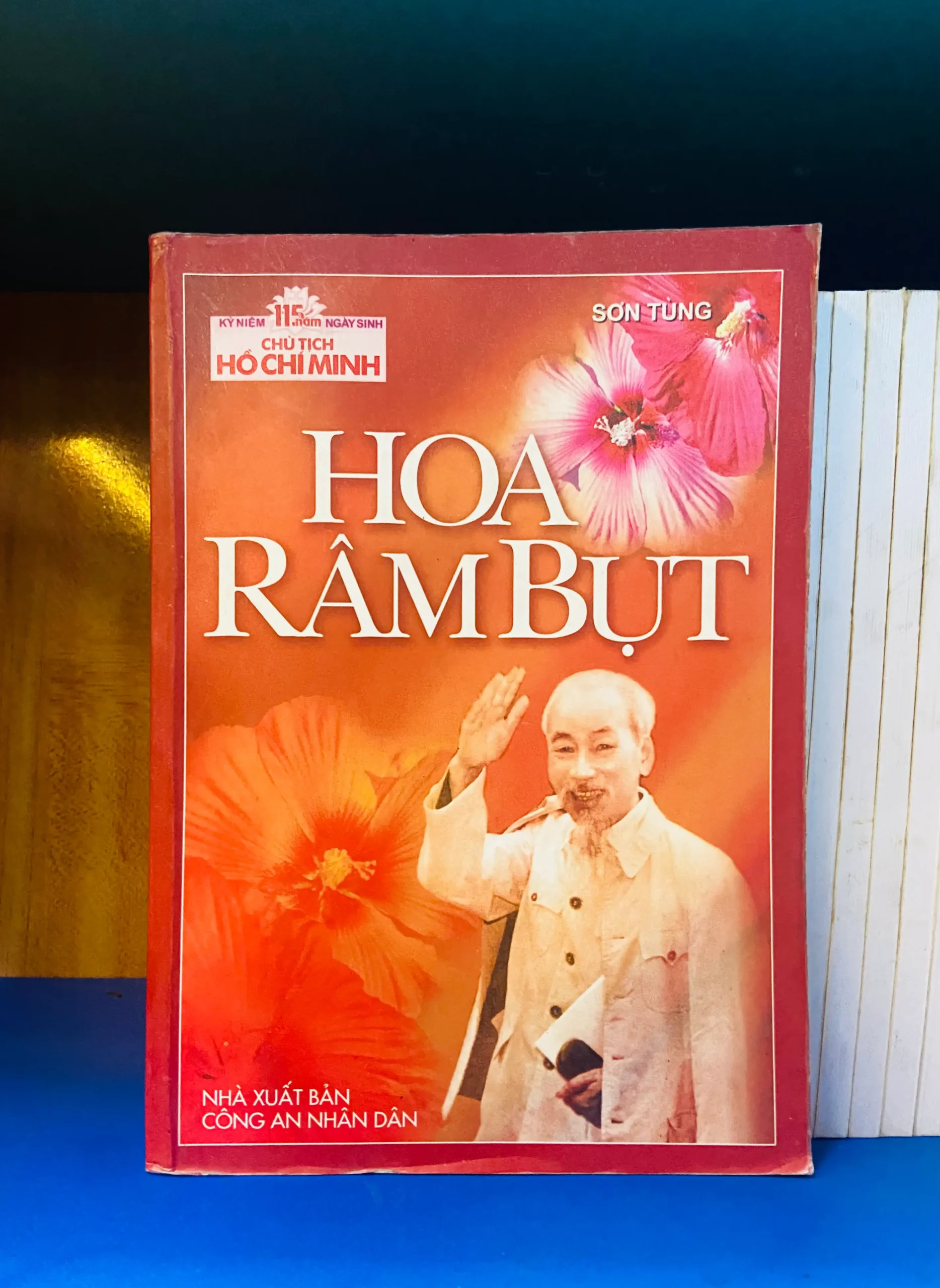 Hoa Râm Bụt - Phát triển bản thân VAVOY-41