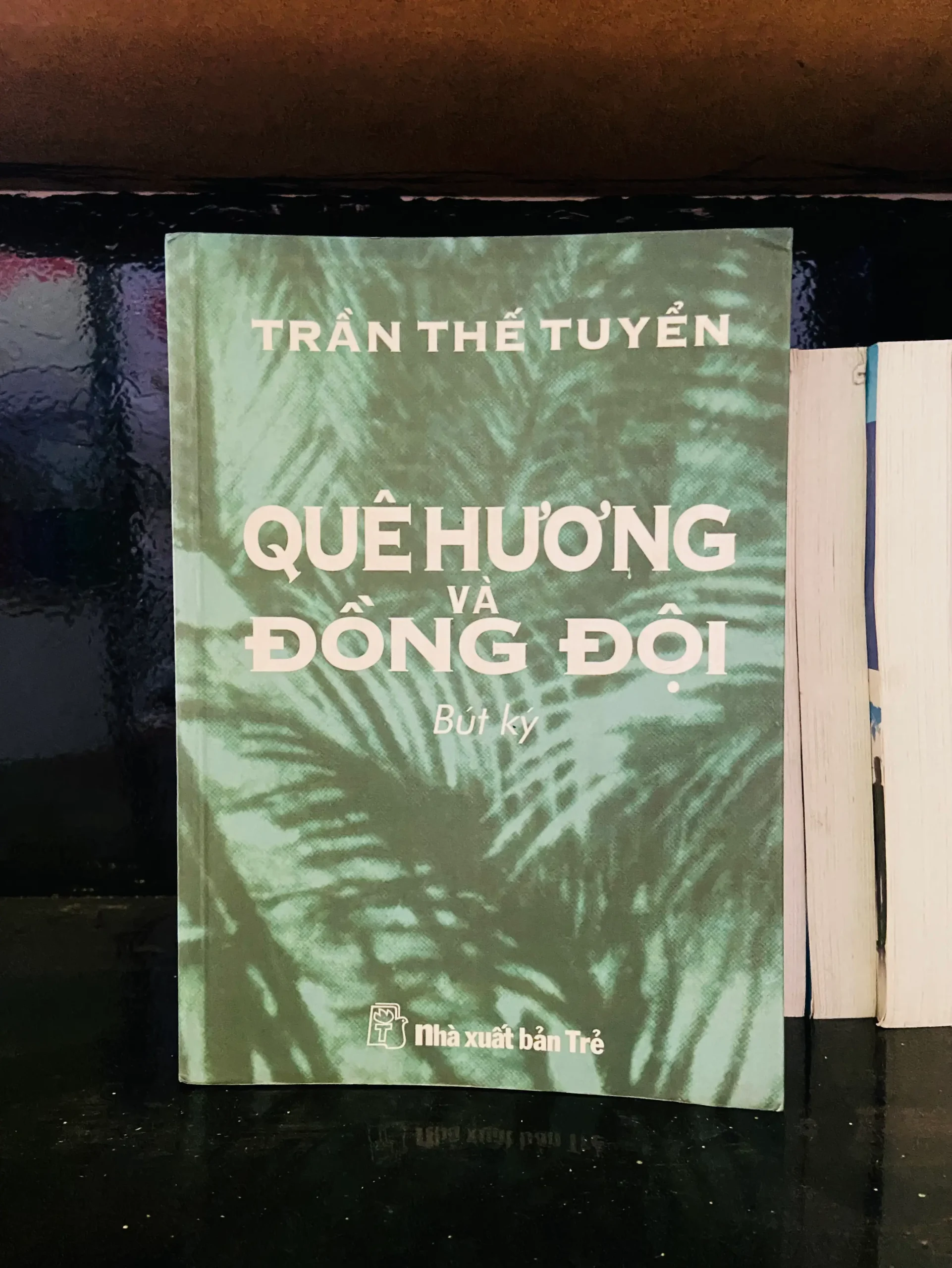 Quê hương và Đồng đội - Trần Thế Tuyển - Văn học VAVOA1T2-51