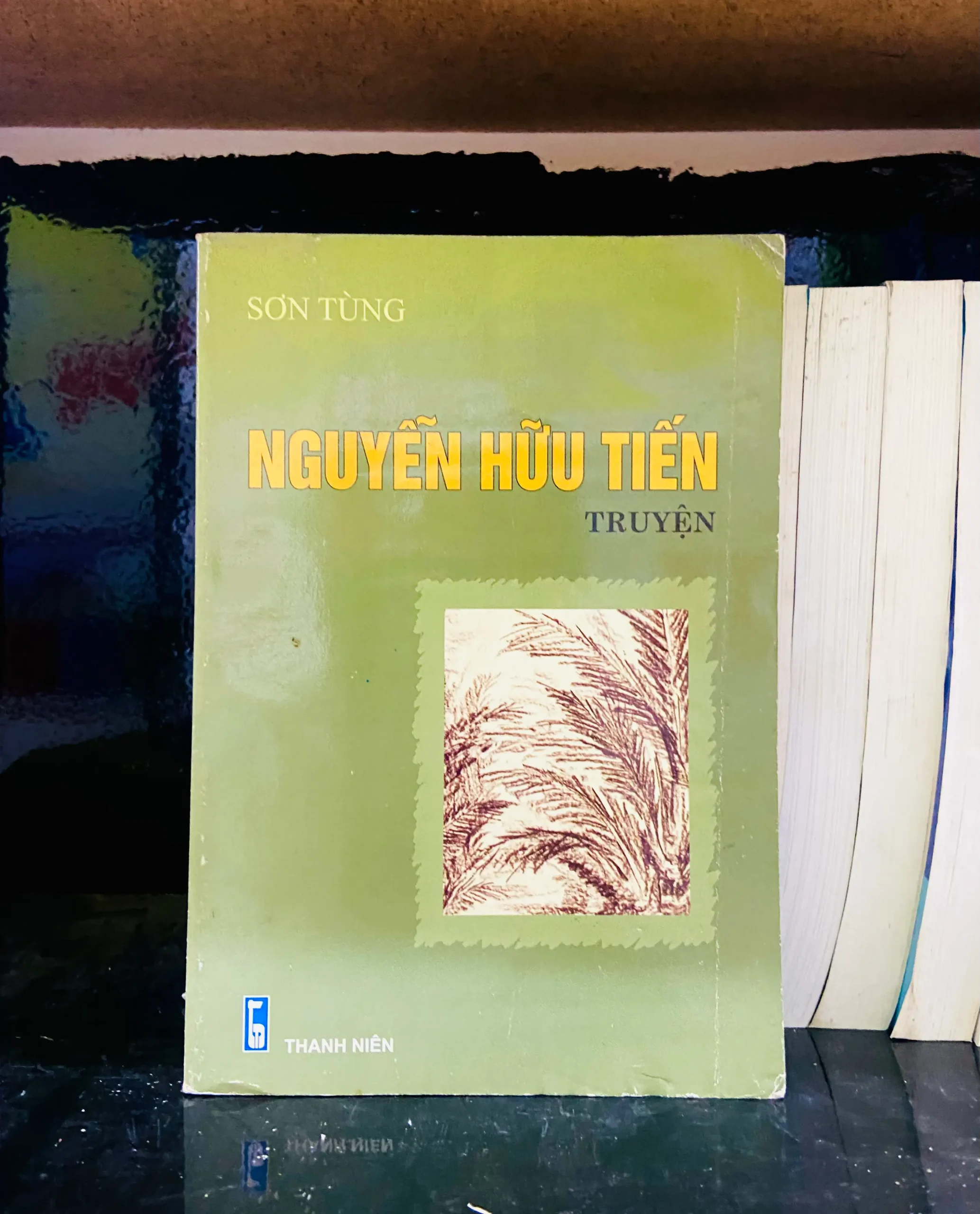 Nguyễn Hữu Tiến - Sơn Tùng - Văn học VAVOA1T1-20