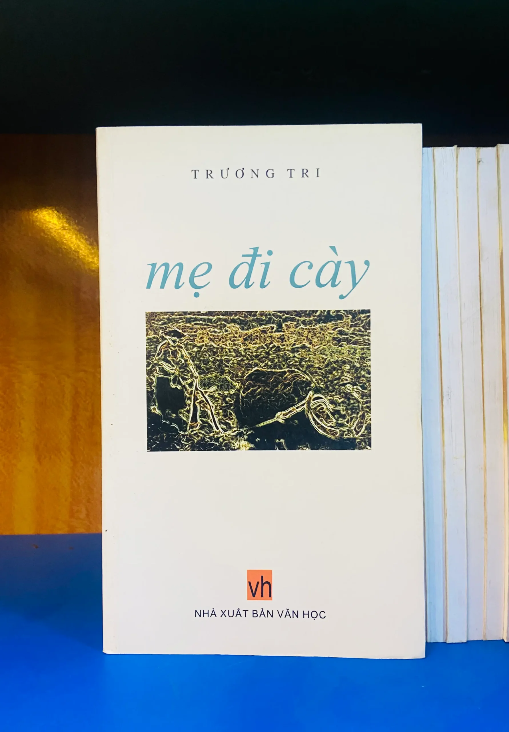 Mẹ đi cày - Văn học VAVOY6S-6