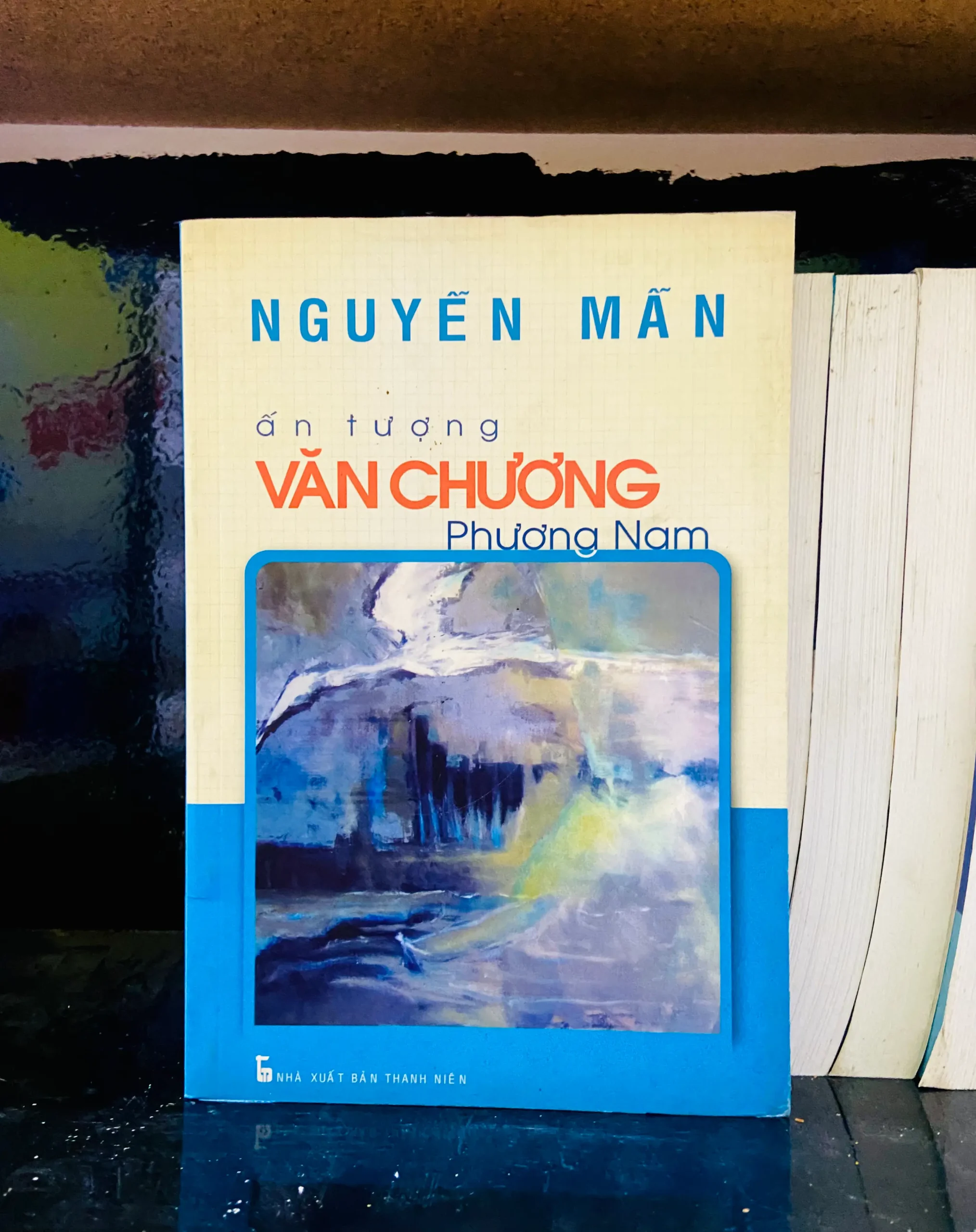Ấn tượng Văn chương Phương Nam - Nguyễn Mẫn - Văn học VAVOA1T1-42