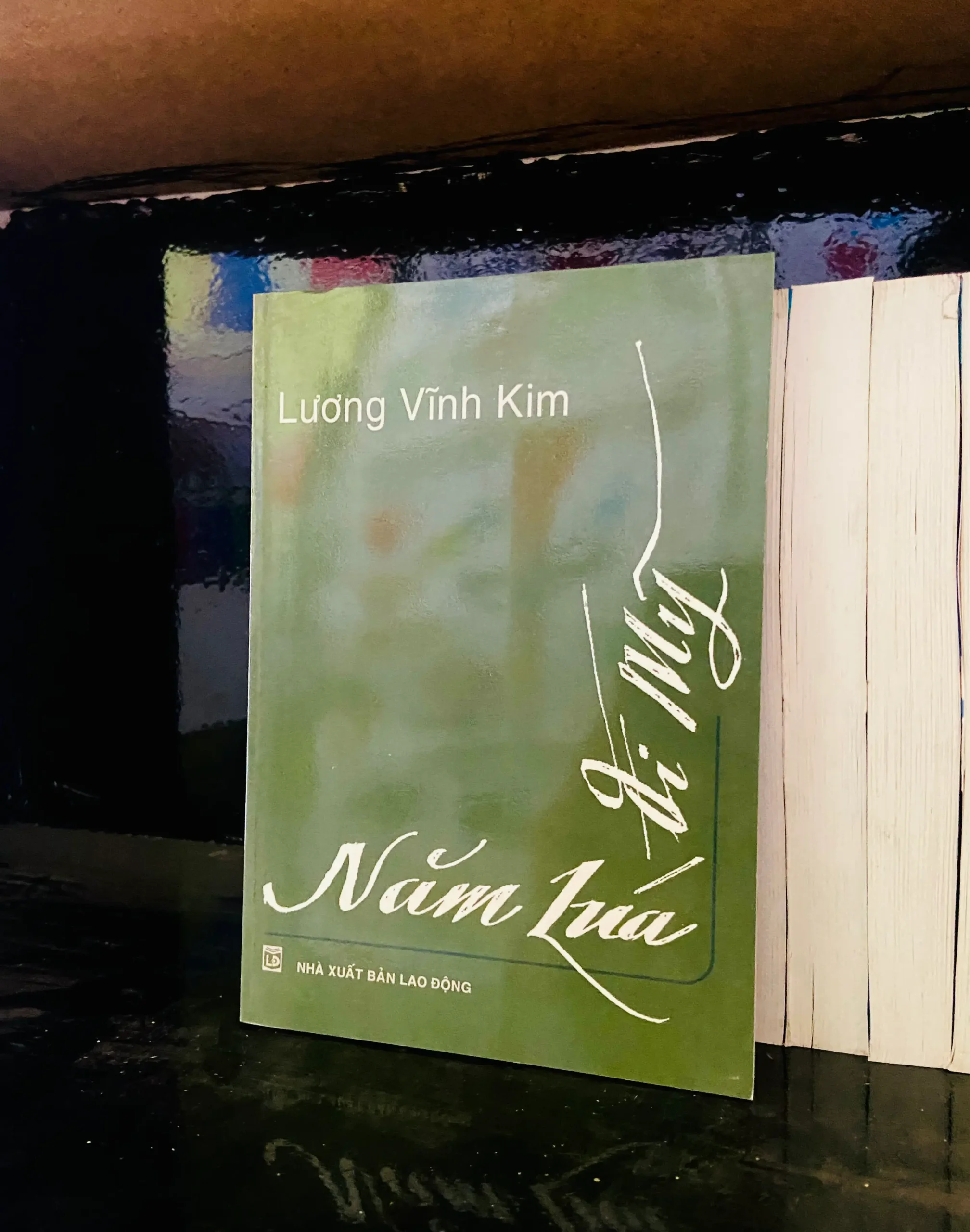 Năm lúa đi Mỹ - Lương Vĩnh Kim - Văn học VAVOA1T2-18