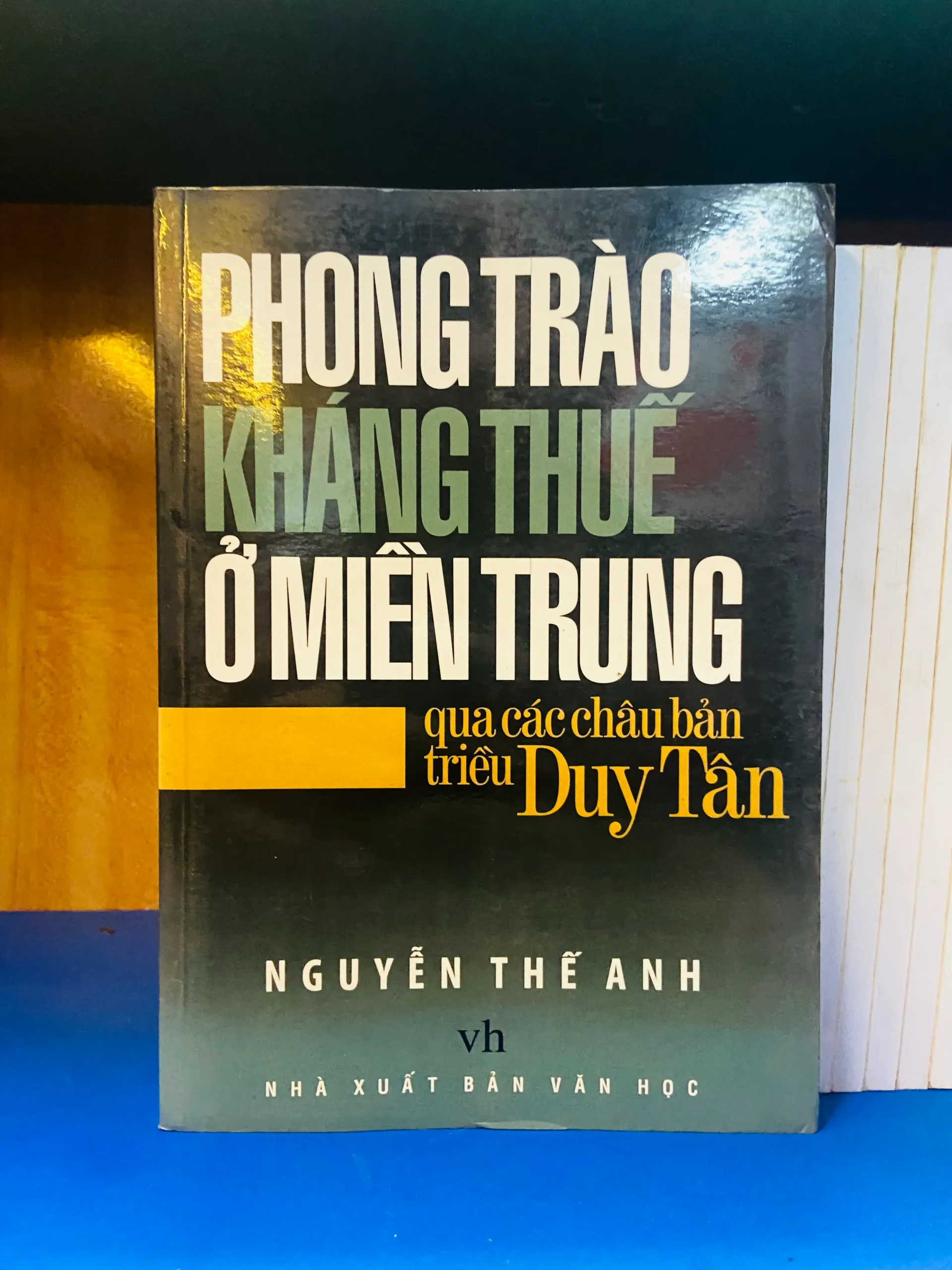 Phong trào kháng thuế ở miền Trung qua các châu bản triều Duy Tân - Lịch sử VAVOY-9