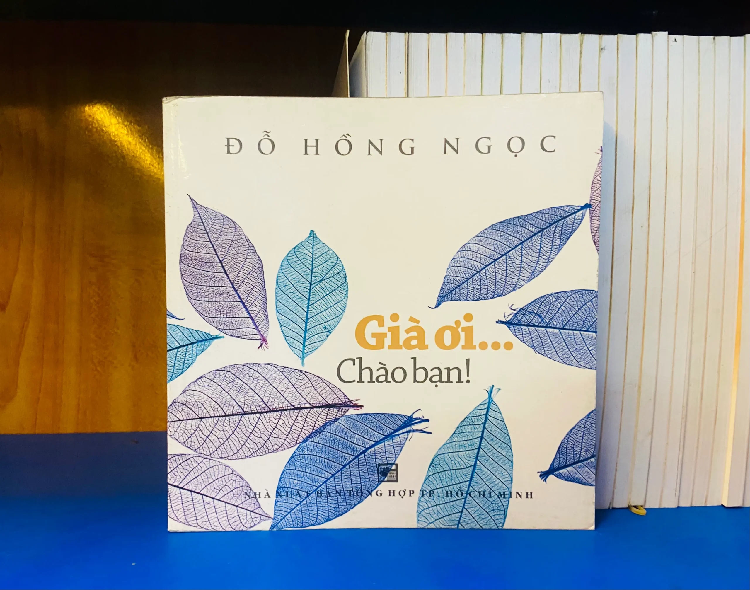 Già ơi ... Chào bạn! - Y học VAVOY6-27