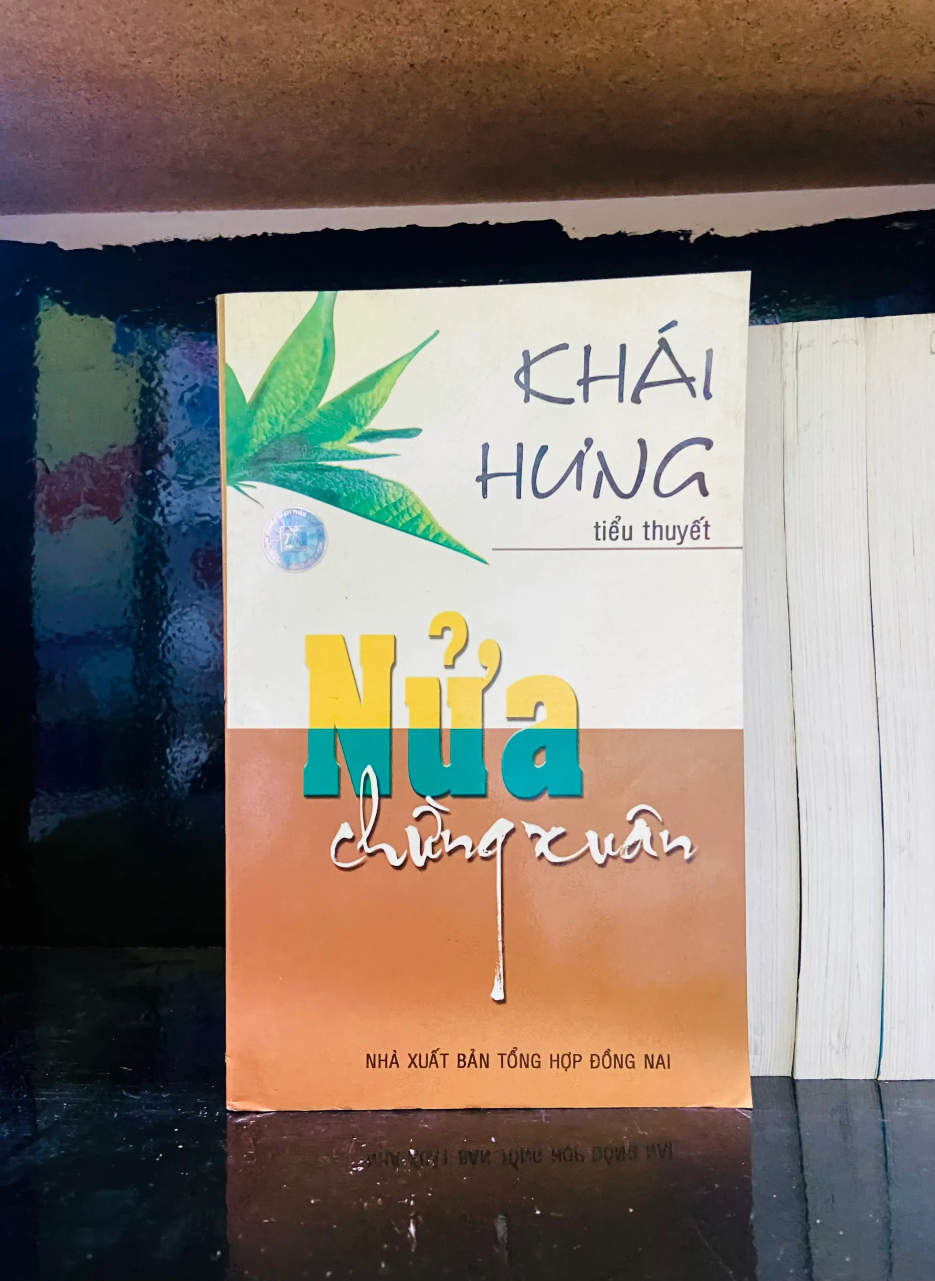 Nửa chừng Xuân - Khái Hưng - Văn học VAVOA1T3- 34