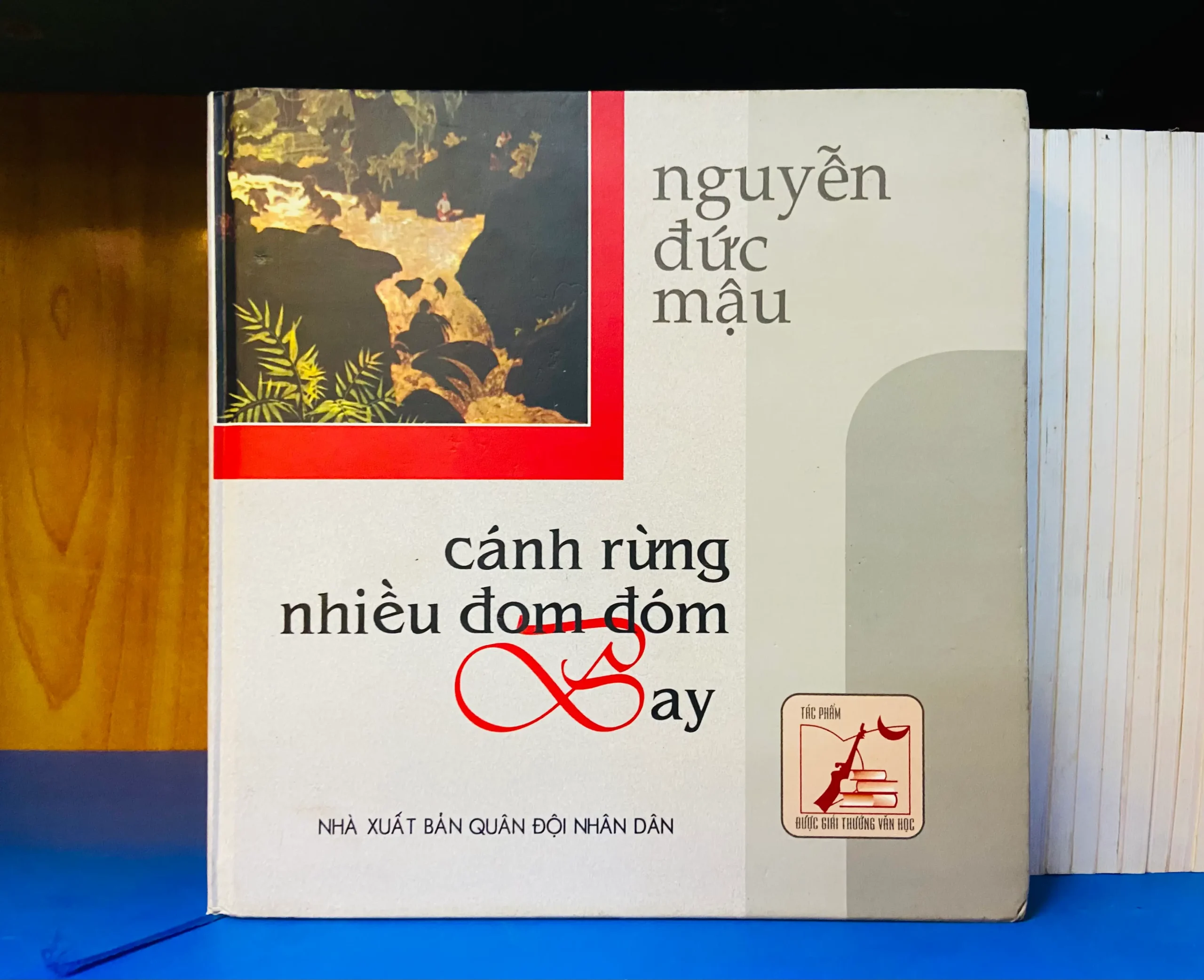 Cánh rừng nhiều đom đóm Bay - Văn học VAVOY6S-11