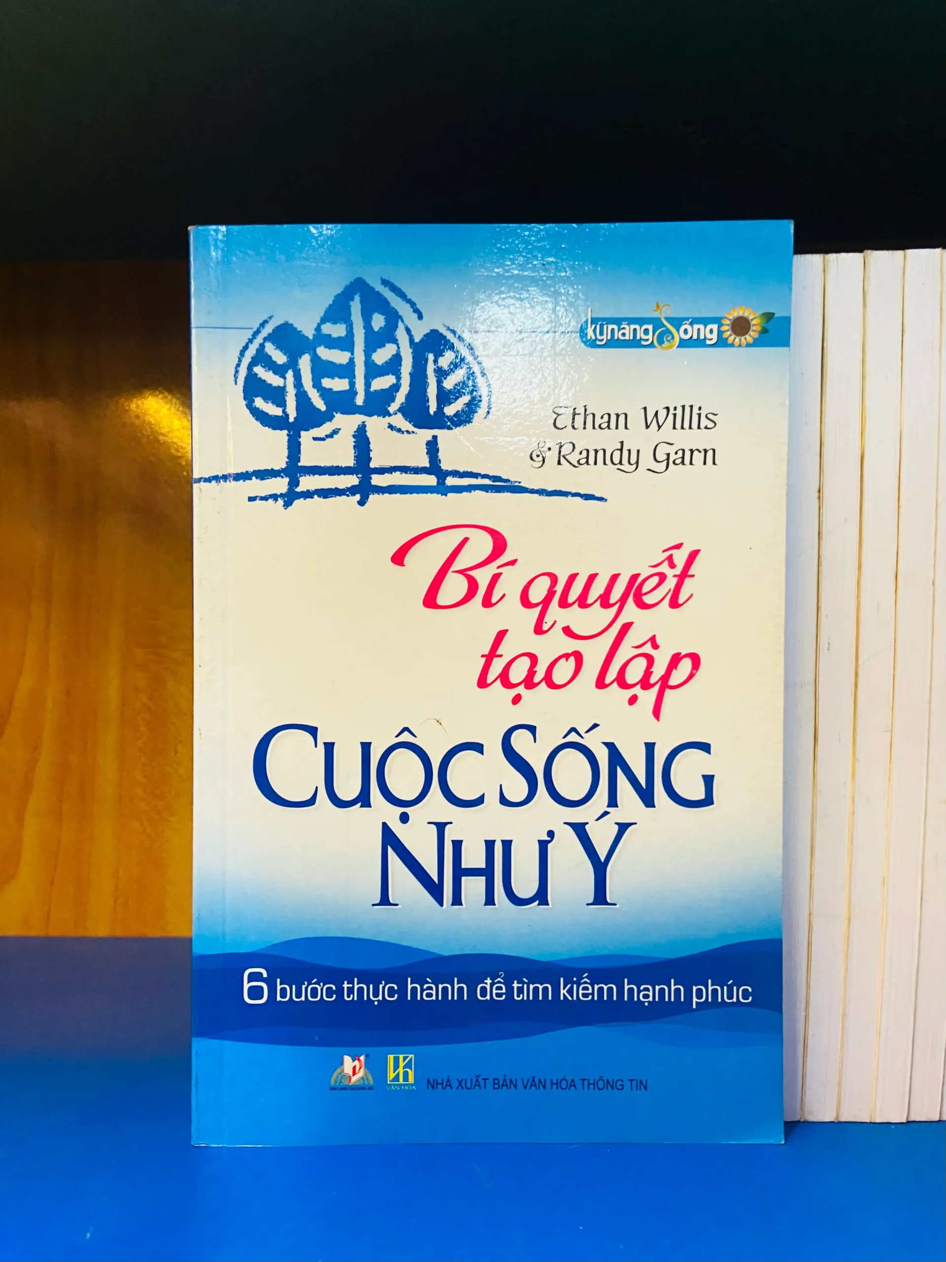 Bí quyết tạo lập Cuộc Sống Như Ý - Phát triển bản thân VAVOY4S-6