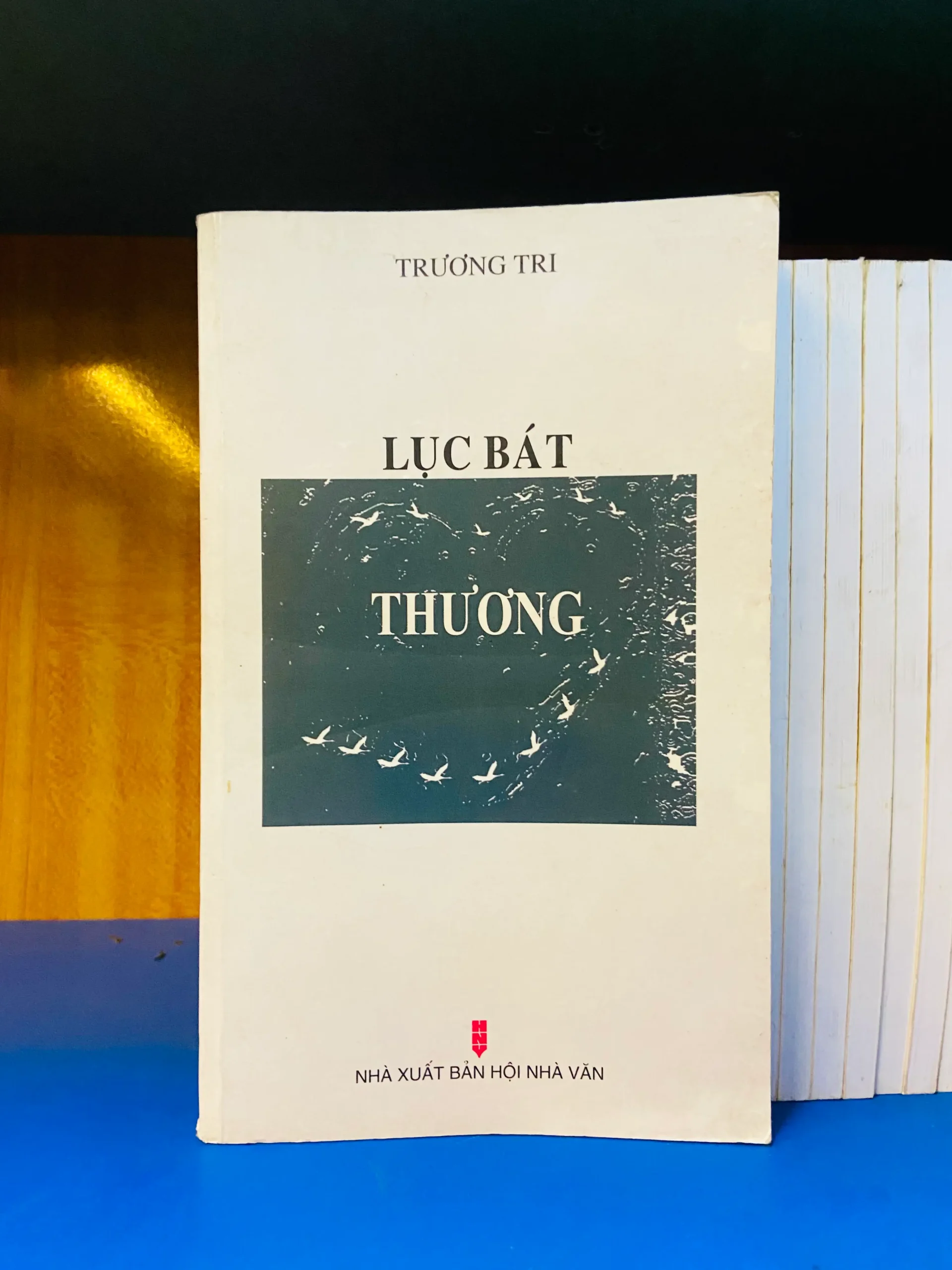 Lục bát Thương - Văn học VAVOY6S-16