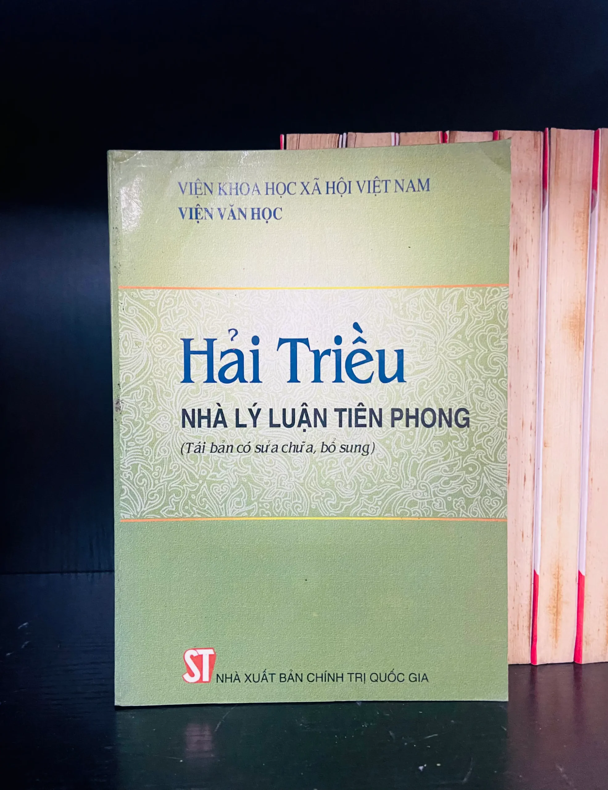 Hải Triều nhà lý luận tiên phong - Kinh doanh VAVOX-39