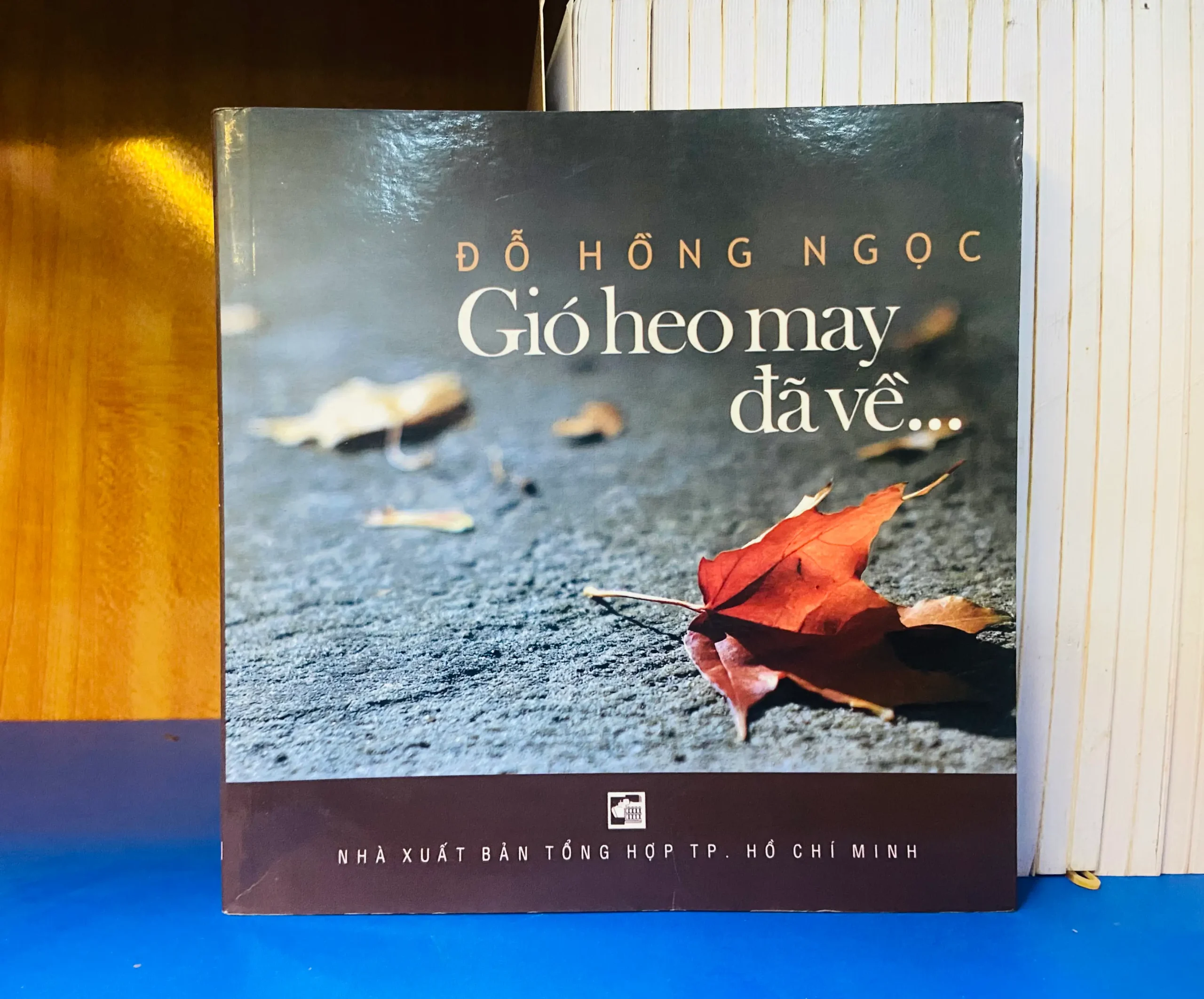 Gió heo may đã về... - Văn học VAVOY6-22