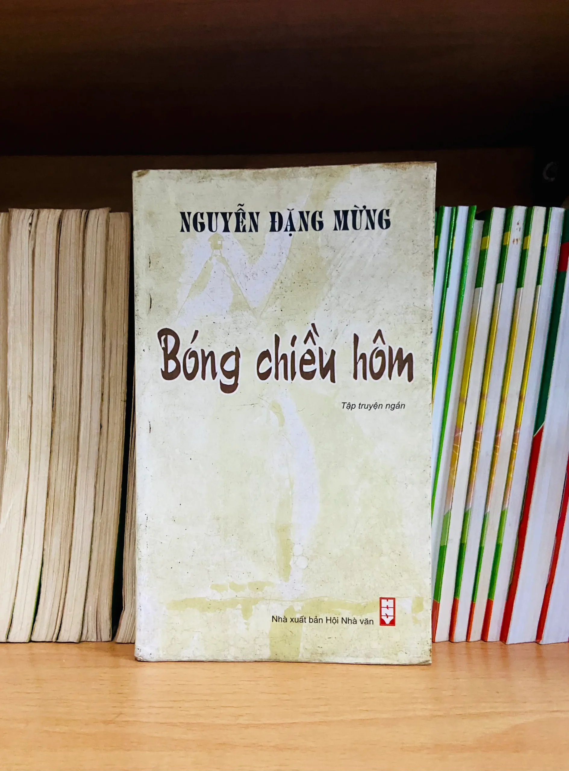 Bóng chiều hôm - Nguyễn Đặng Mừng - Văn học VAVOD1O3N5C2-7