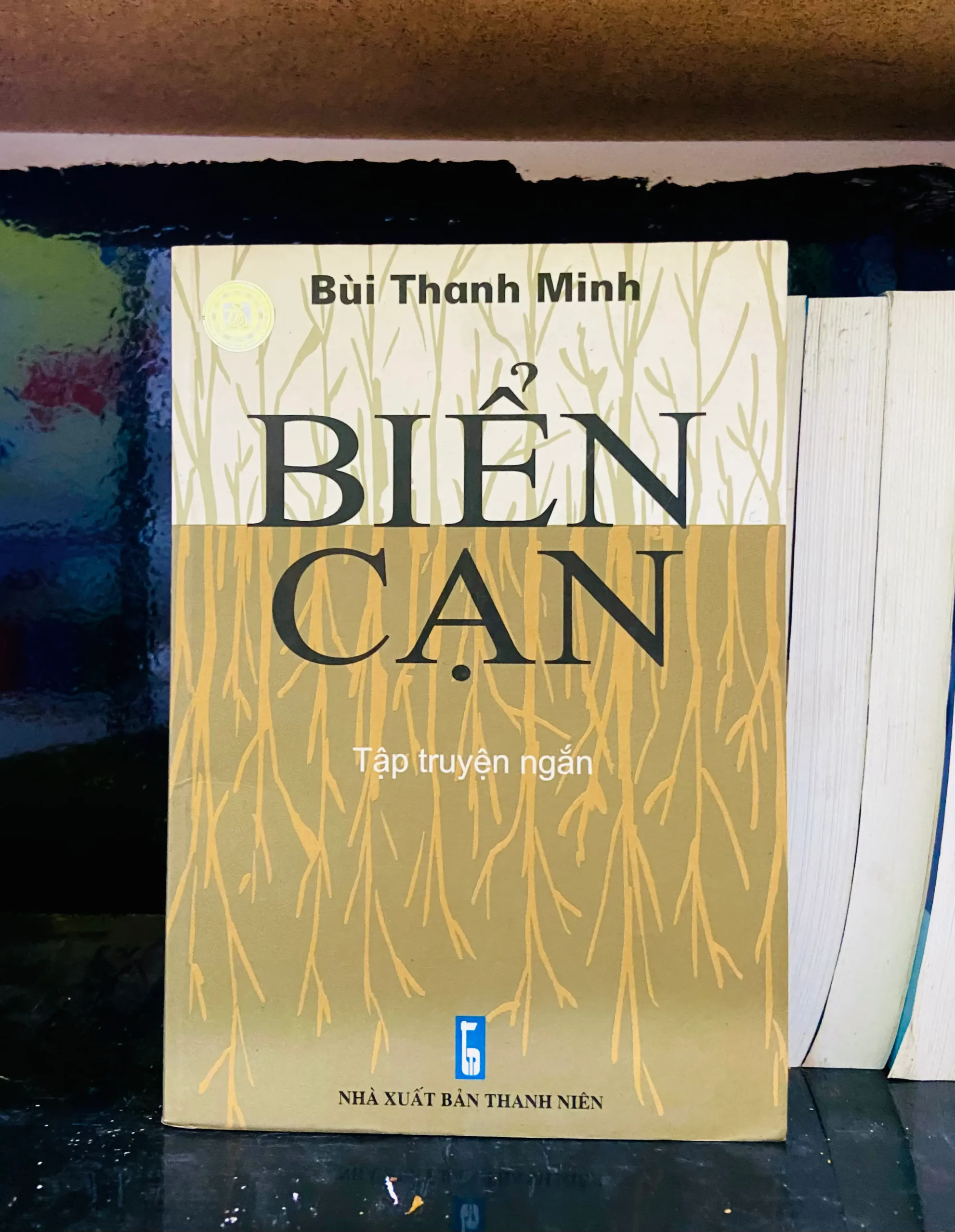 Biển cạn - Bùi Thanh Minh - Văn học VAVOA1T1-45
