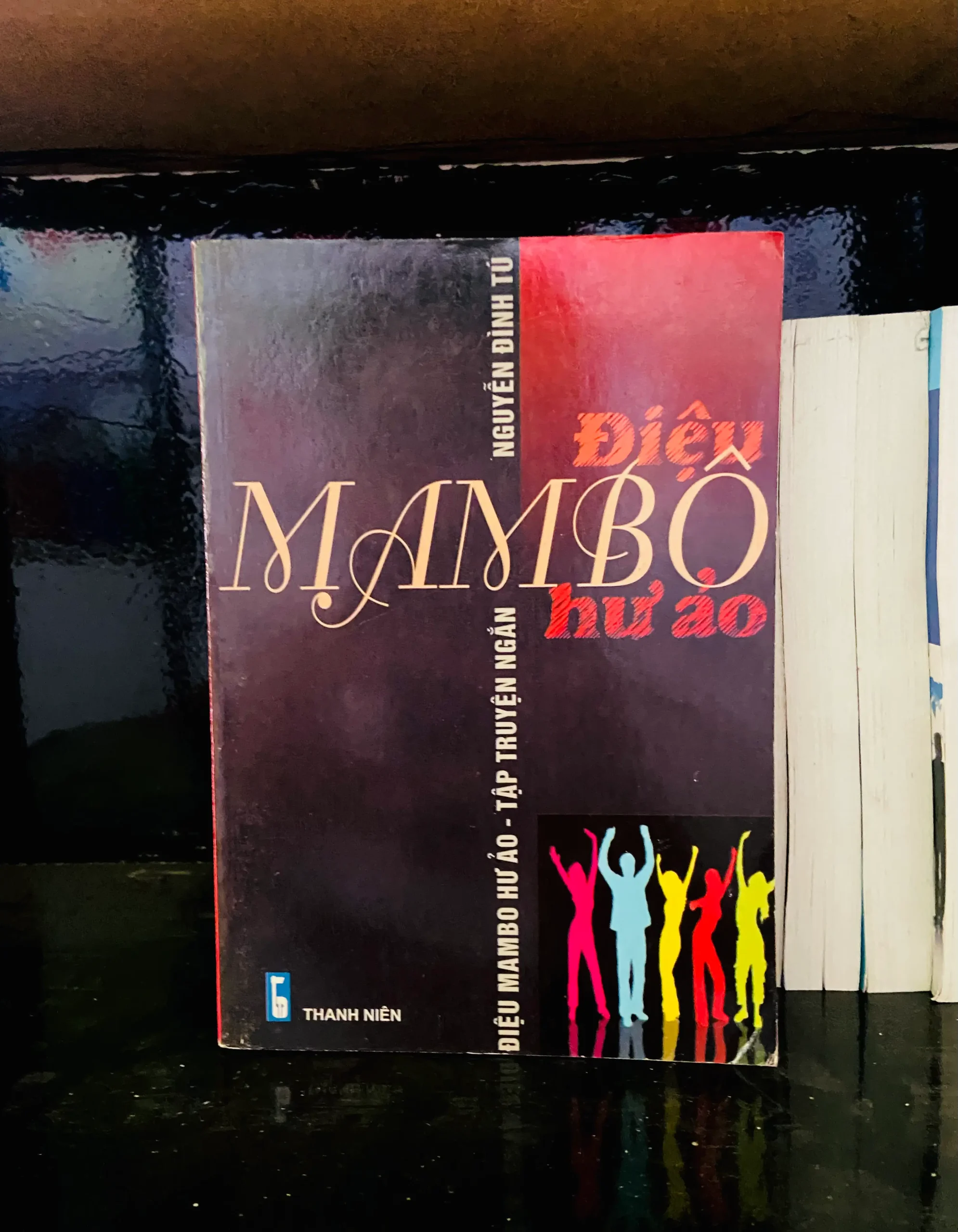 Điệu Mambô hư ảo - Nguyễn Đình Tú - Văn học VAVOA1T2-39