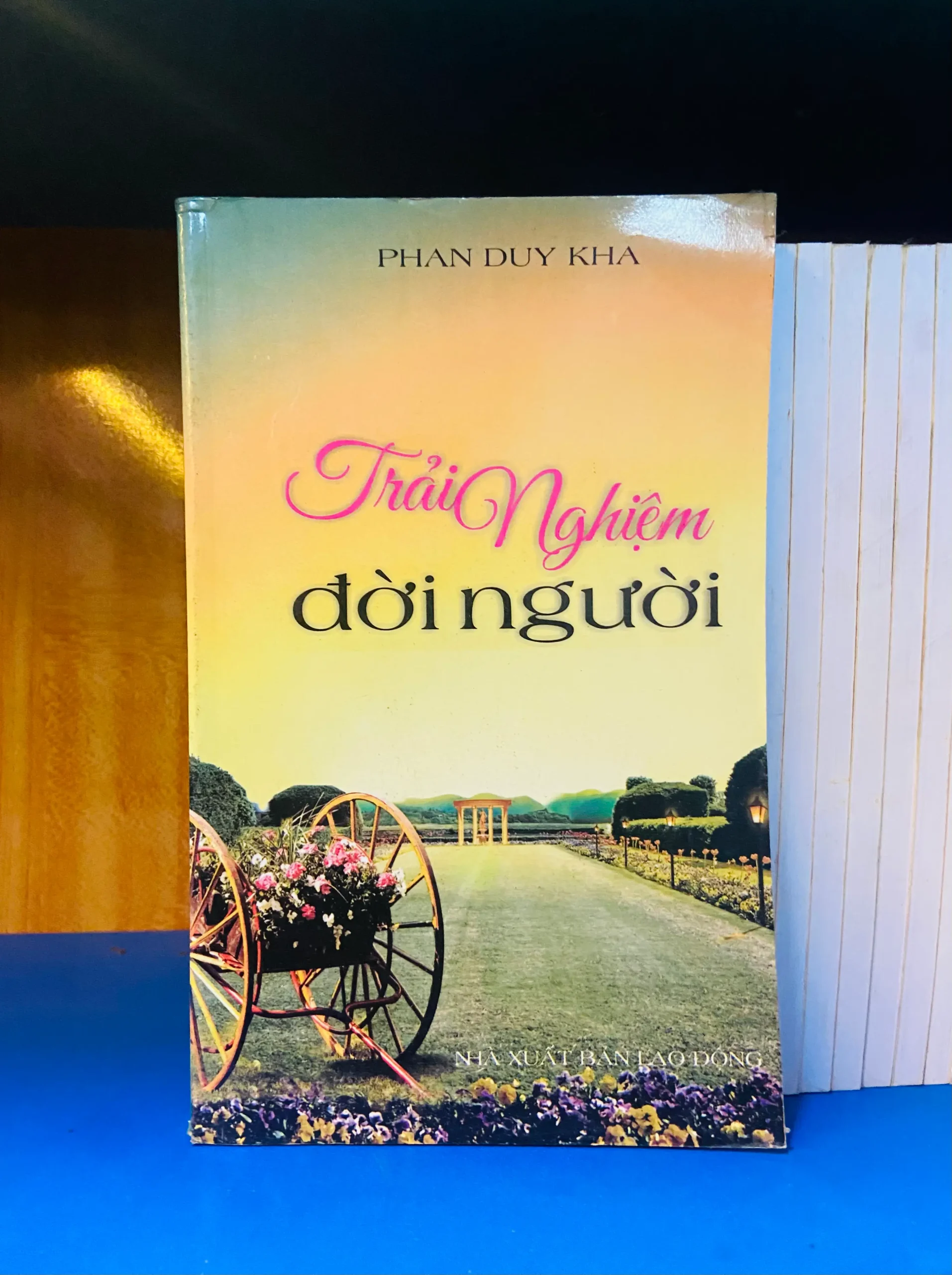 Trải Nghiệm đời người - Tâm lý VAVOY4S-23