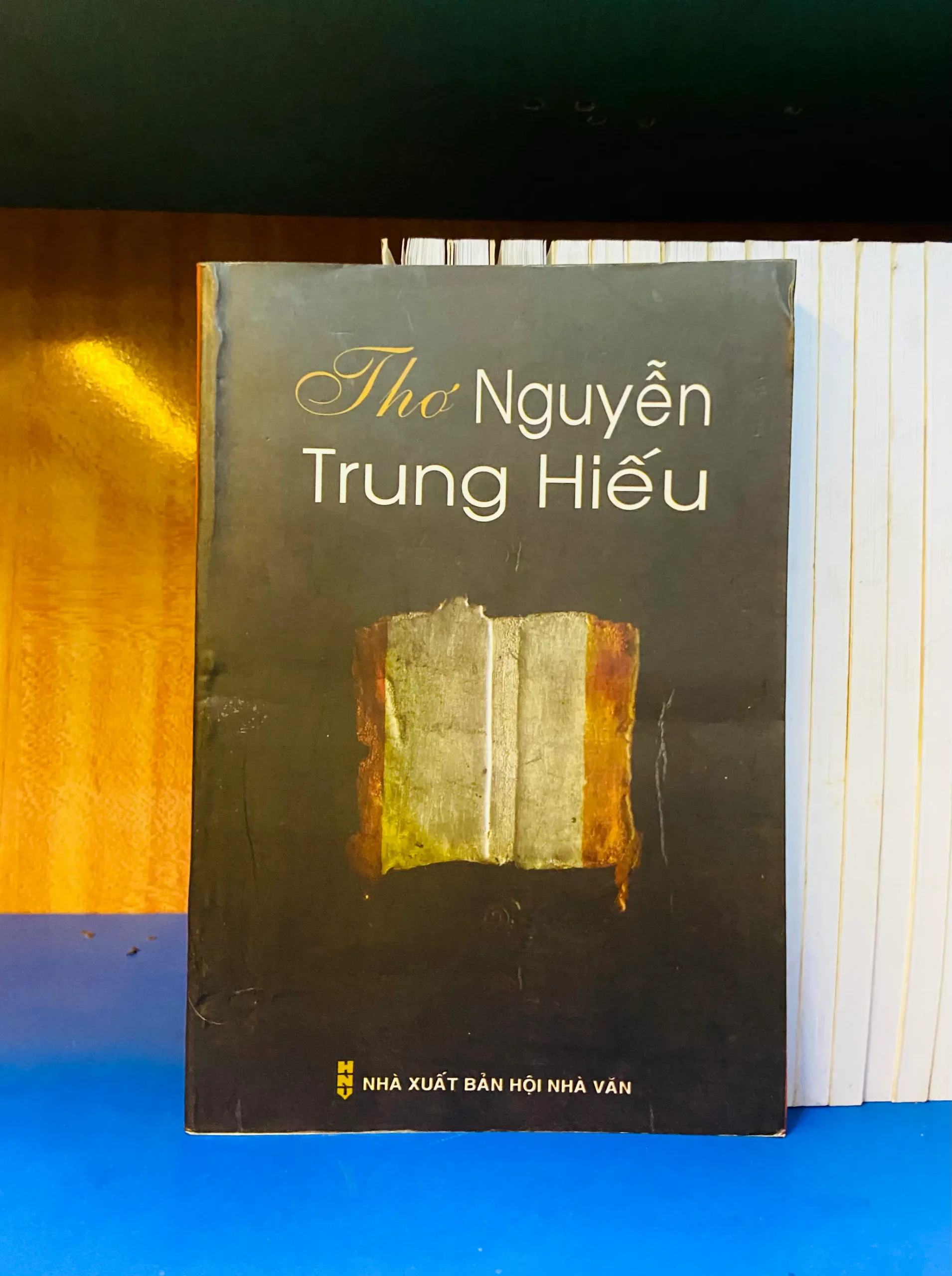 Thơ Nguyễn Trung Hiếu - Văn học VAVOY6S-14