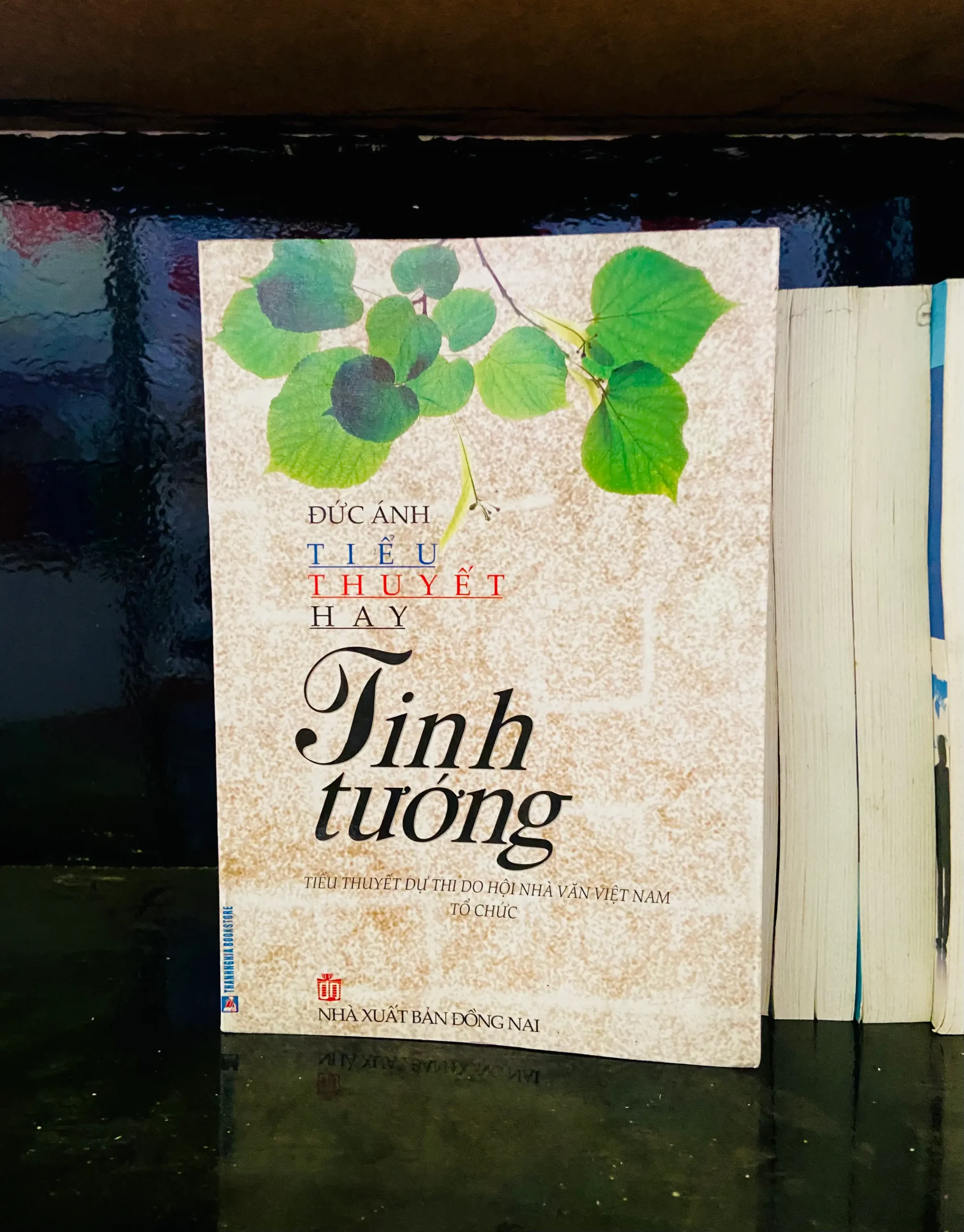 Tinh Tướng - Đức Ánh - Văn học VAVOA1T2-35