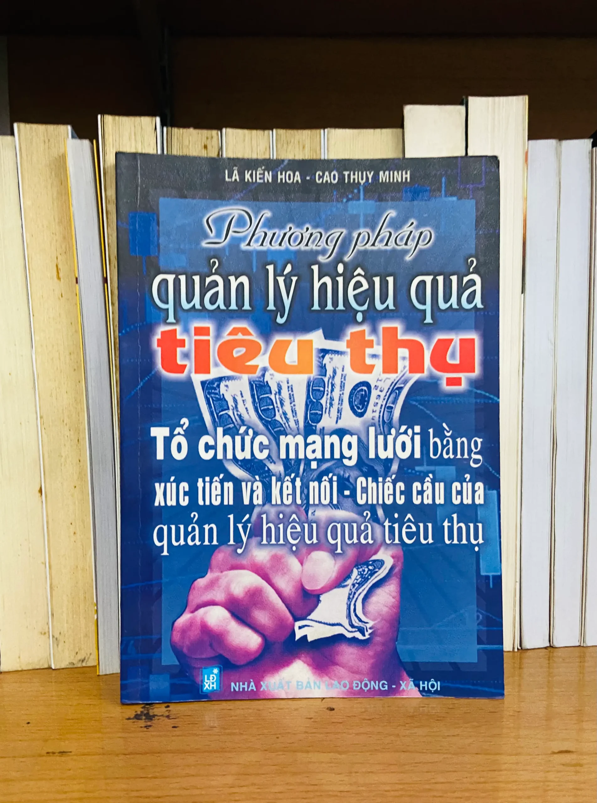 Tổ chức mạng lưới bằng xúc tiến và kết nối - Lã Kiến Hoa, Cao Thụy Minh - Kinh doanh VAVOXA2T1-8