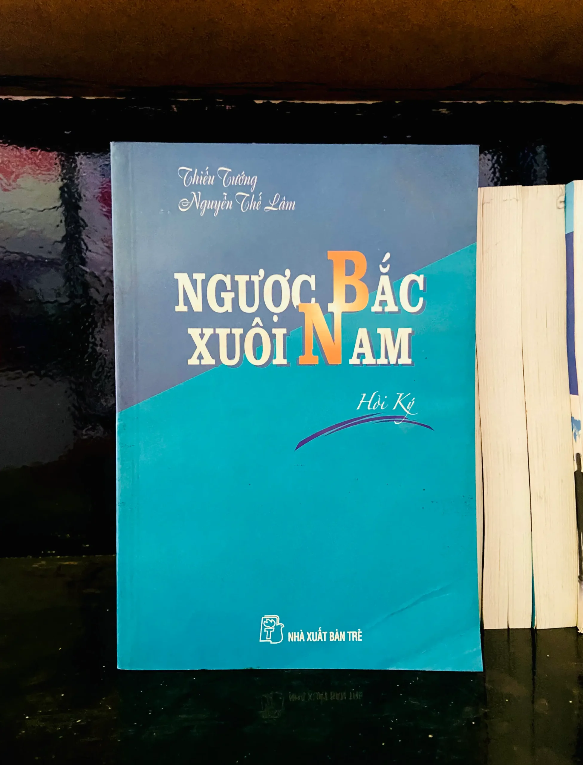 Người Bắc xuôi Nam - Nguyễn Thế Lâm - Văn học VAVOA1T2-31