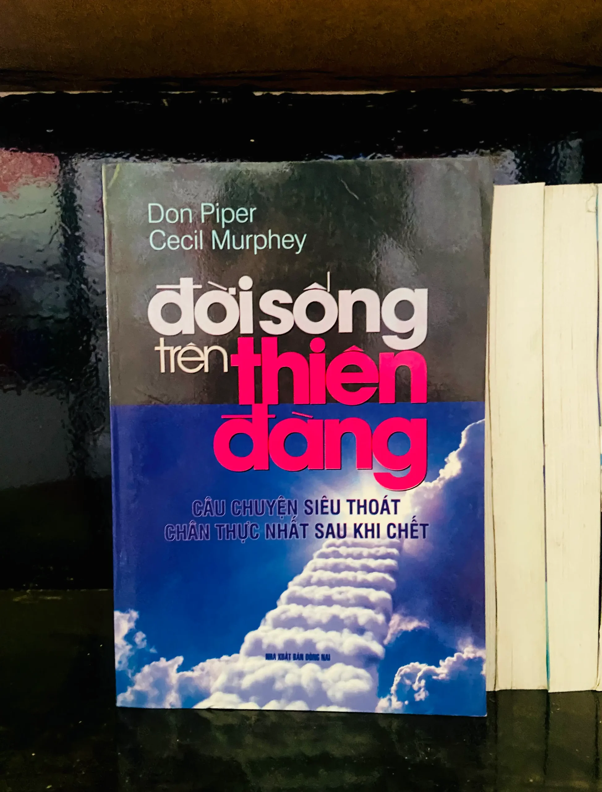 Đời sống trên thiên đàng - Don Piper, Cecil Murphey - Văn học VAVOA1T2-19