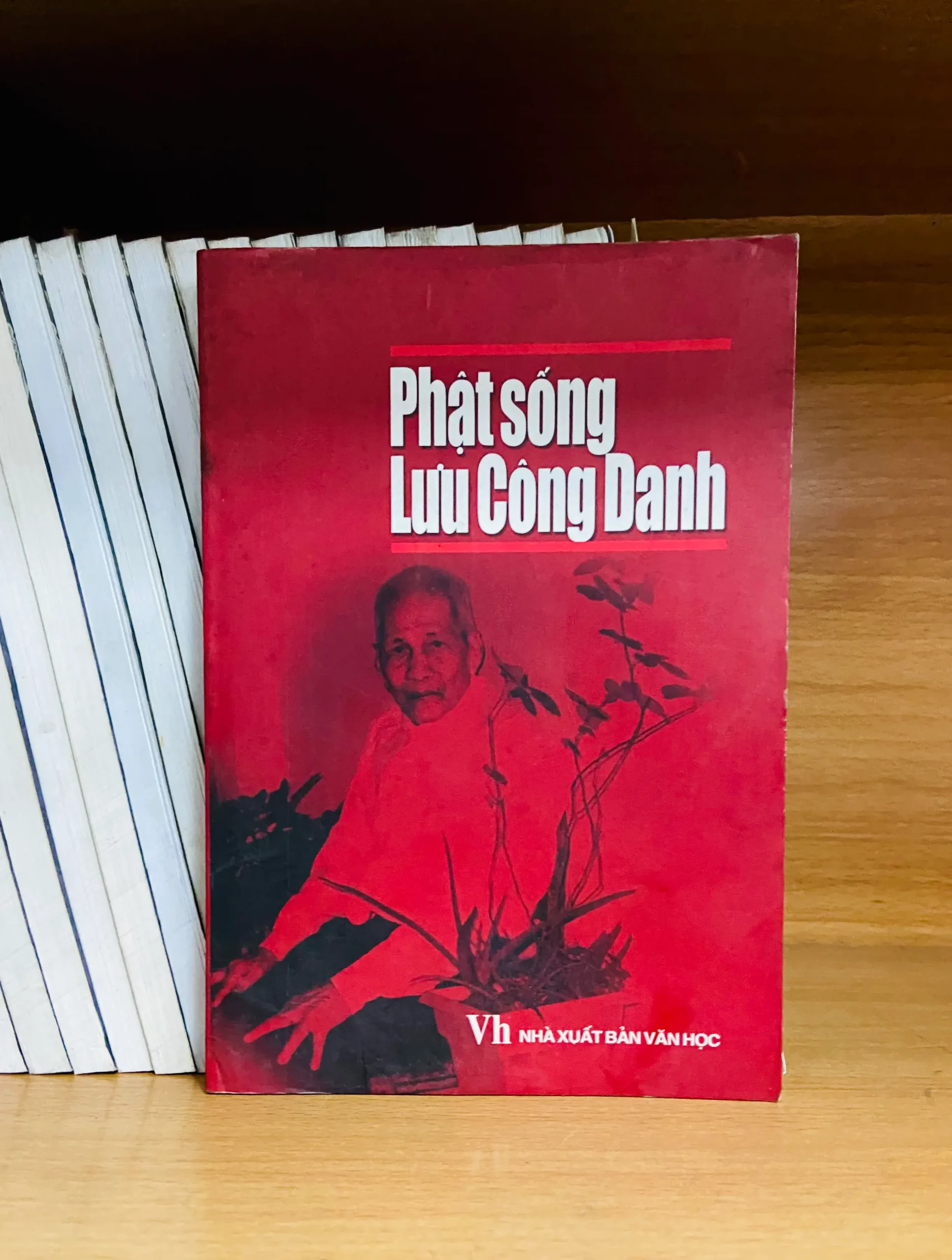 Phật sống Lưu Công Danh - Lịch sử VAVOC2T1-6